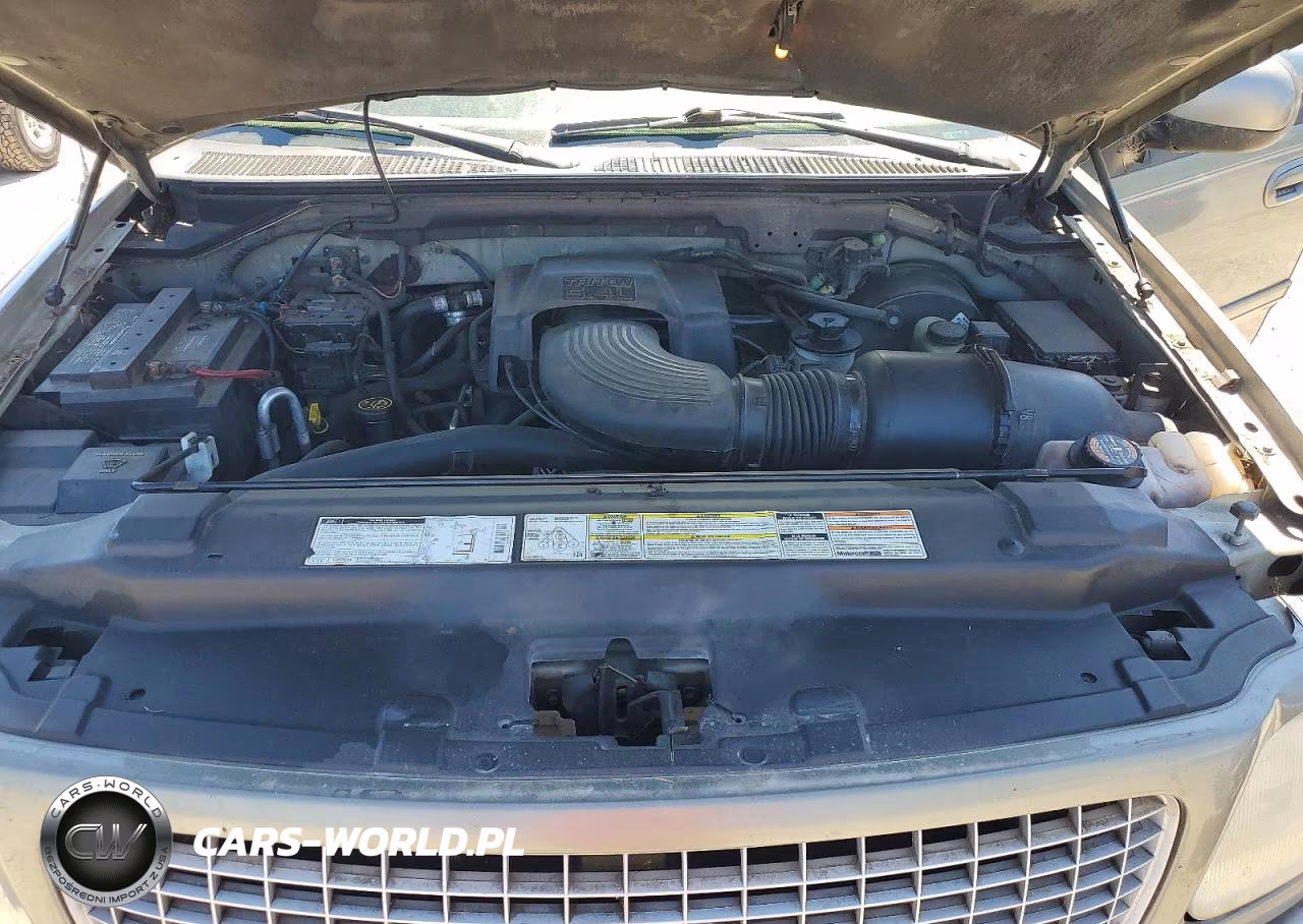 1999 Ford Expedition Eddie Bau VIN:1FMPU18LXXLC28485 - 12
