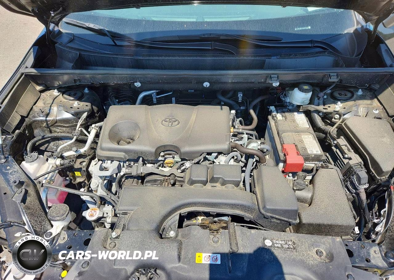 2025 Toyota Rav4 Xle VIN:2T3P1RFV7SW543377 - 12
