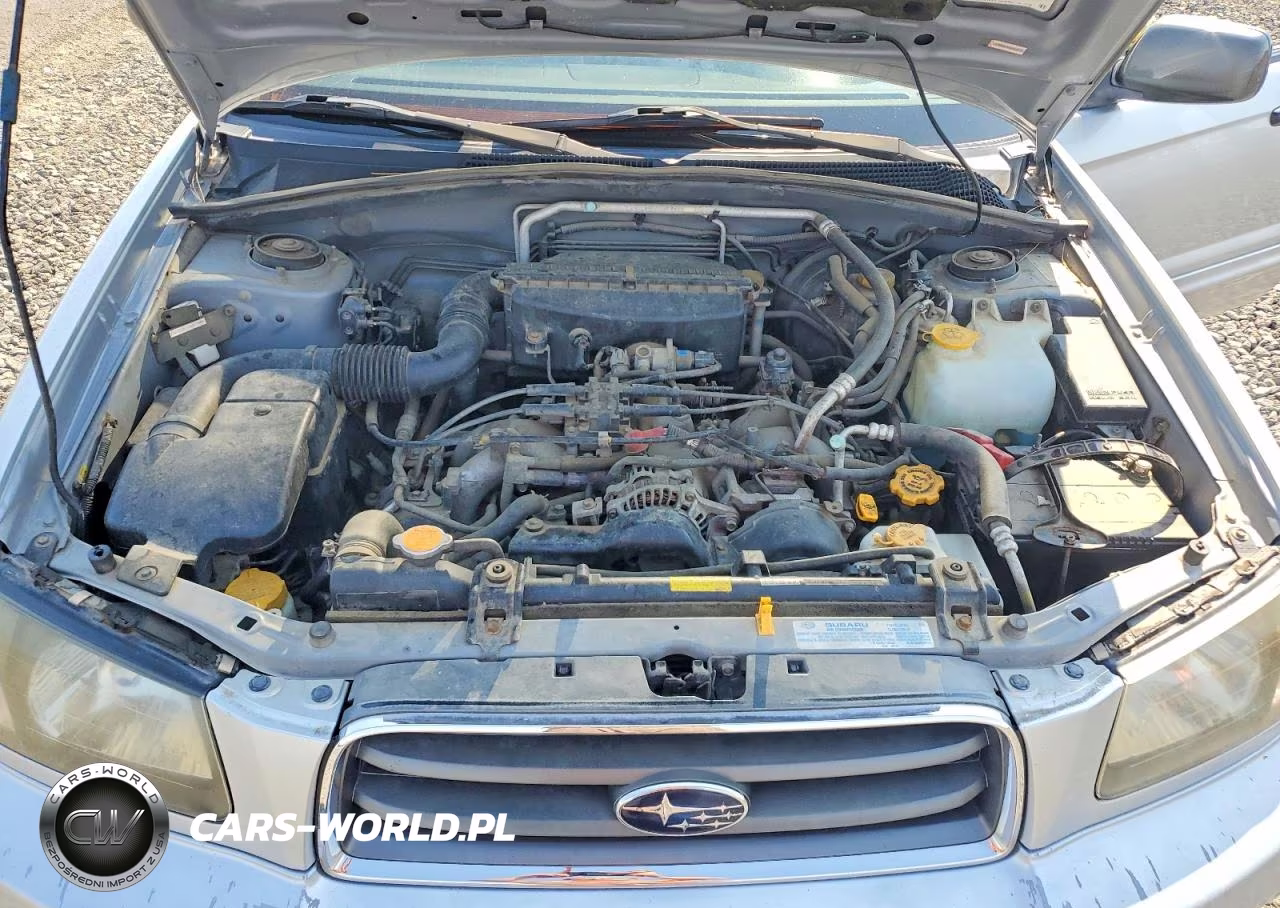 2004 Subaru Forester 2.5Xs VIN:JF1SG65634G711313 - 11