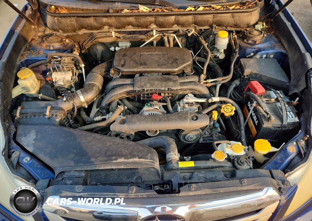 2010 Subaru Outback 2.5I Limited VIN:4S4BRCKC1A3377200 - 11