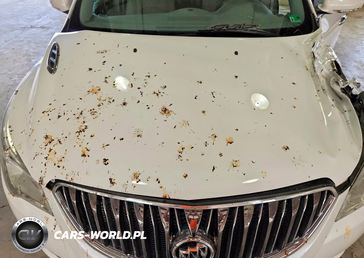 2017 Buick Enclave VIN:5GAKRCKDXHJ182863 - 12