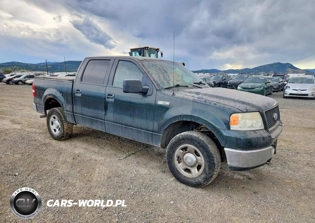 2005 Ford F150 Supercrew VIN:1FTPW14525FA91379 - 4