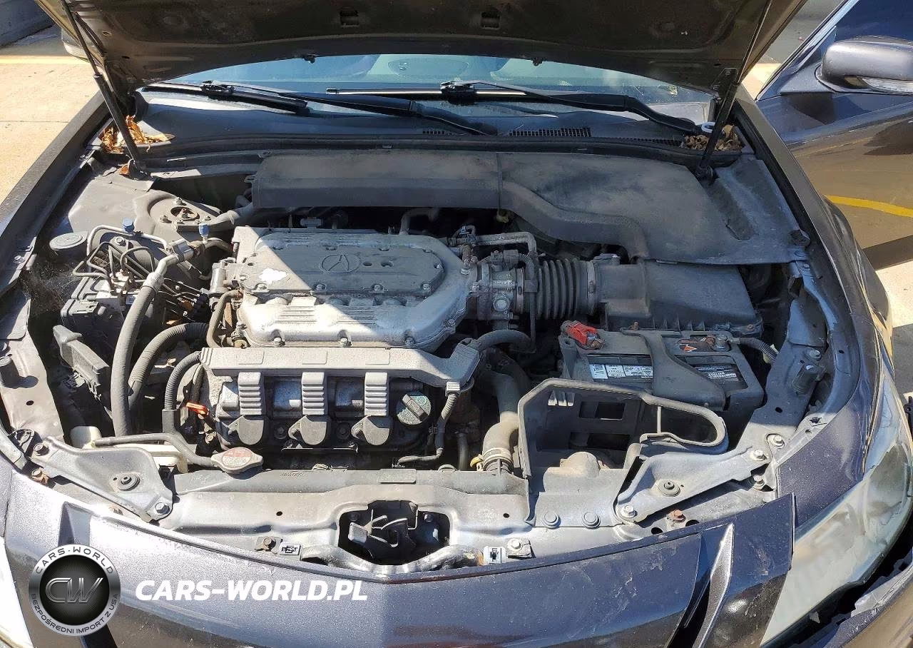 2010 Acura Tl VIN:19UUA8F54AA022564 - 11