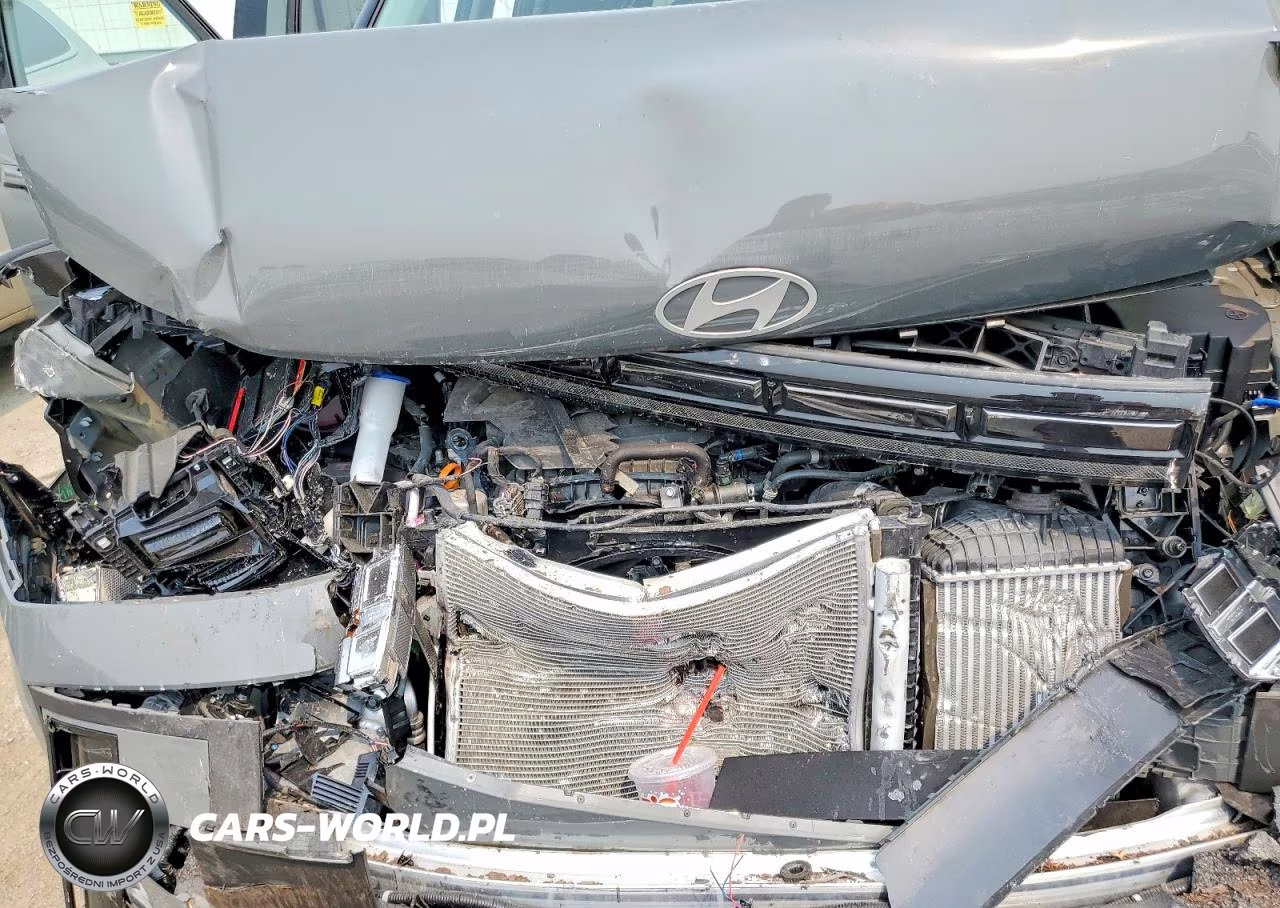 2025 Hyundai Santa Fe Limited VIN:5NMP4DGL4SH072039 - 12