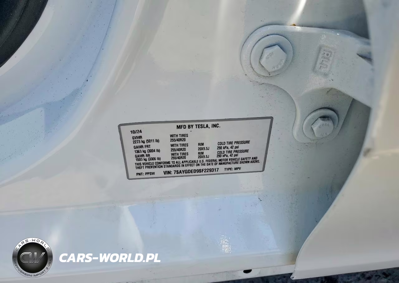 2025 Tesla Model Y VIN:7SAYGDED9SF229317 - 12