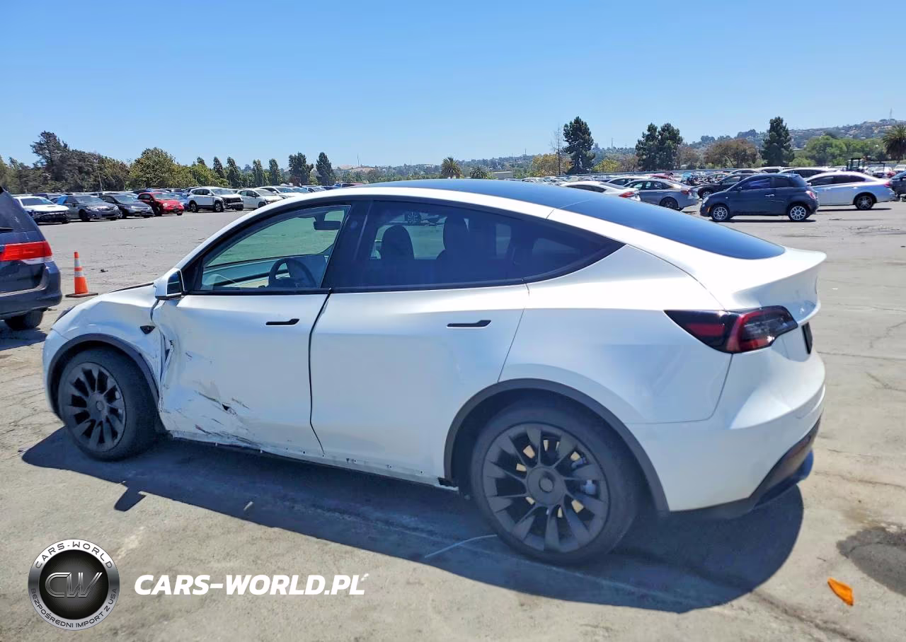 2025 Tesla Model Y VIN:7SAYGDED9SF229317 - 2