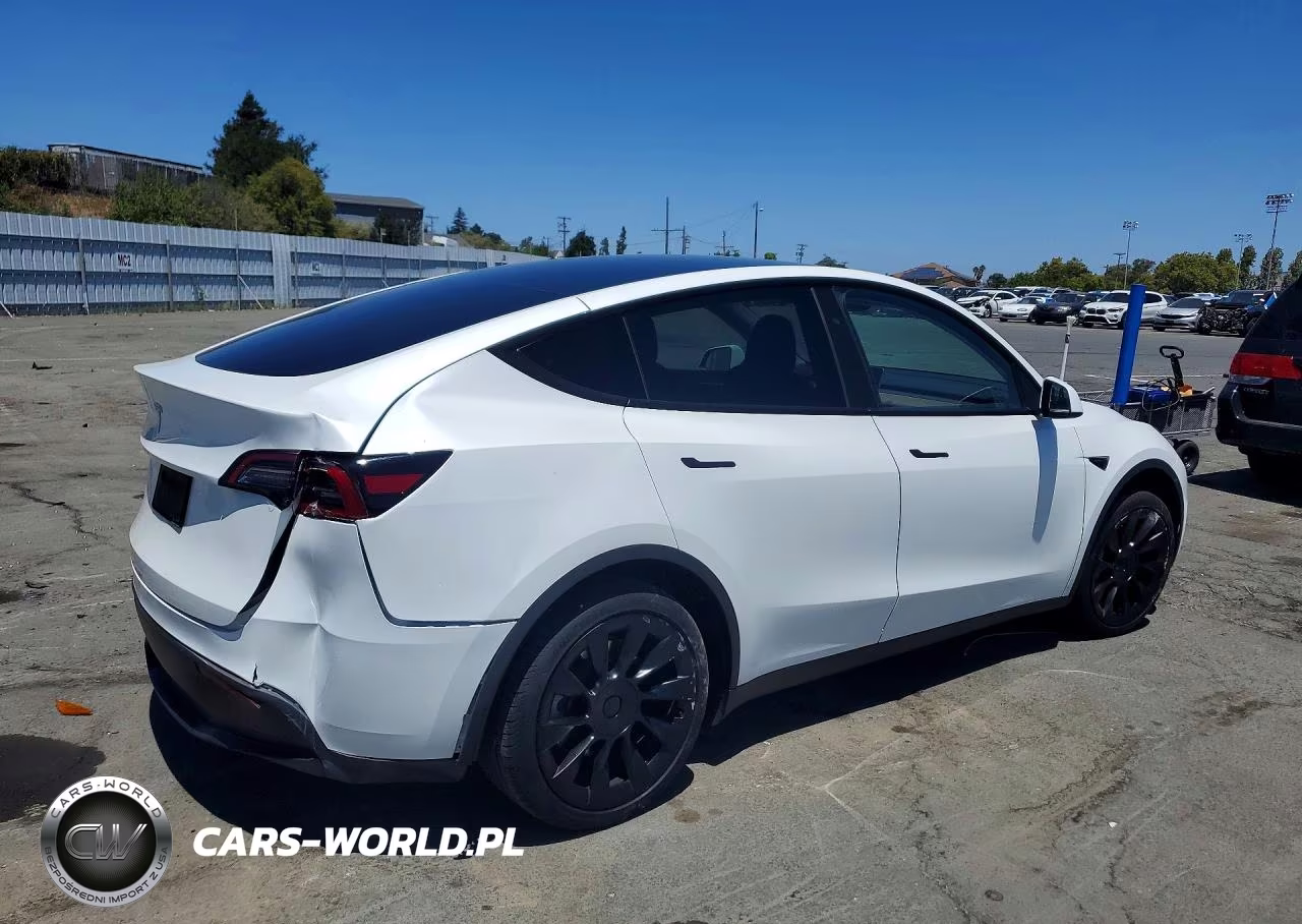 2025 Tesla Model Y VIN:7SAYGDED9SF229317 - 3