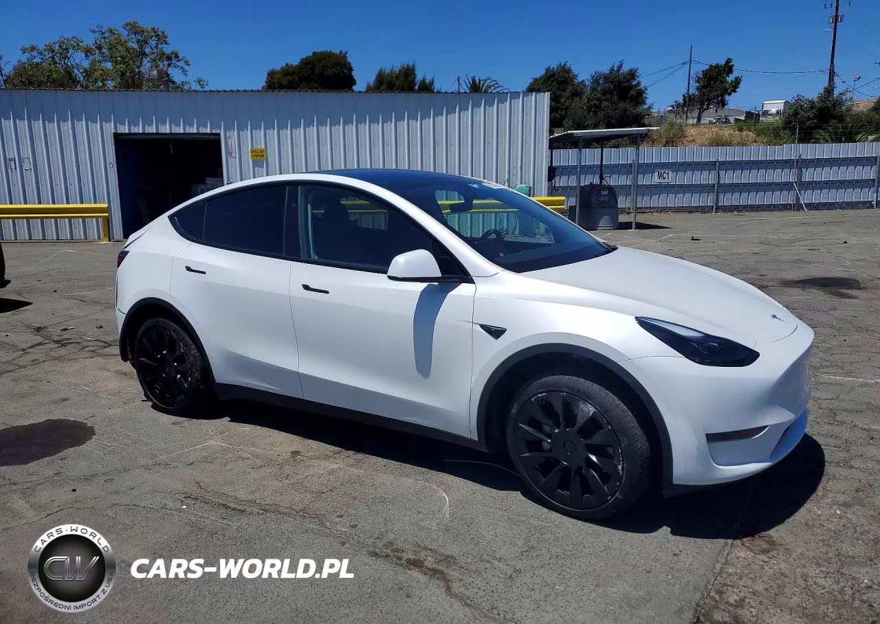 2025 Tesla Model Y VIN:7SAYGDED9SF229317 - 4
