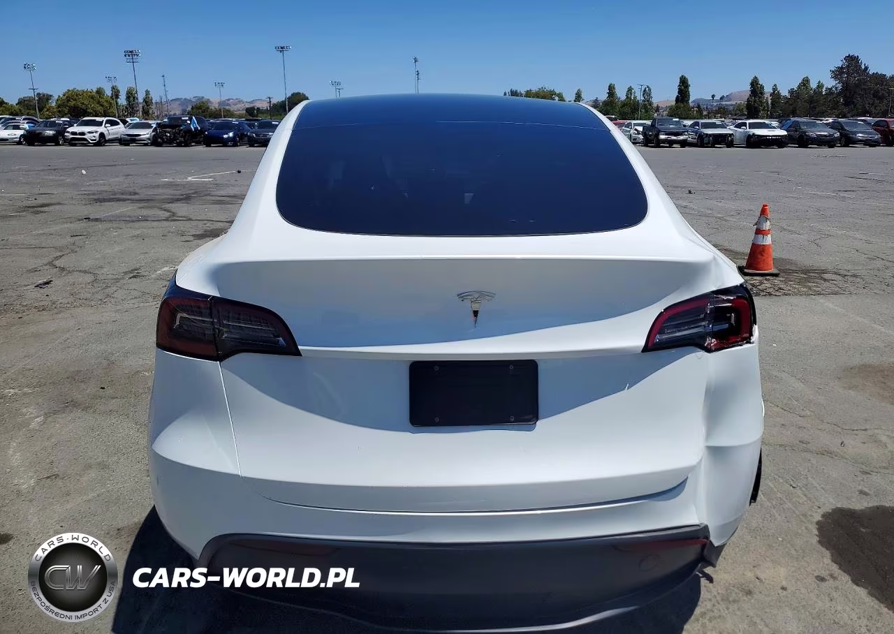 2025 Tesla Model Y VIN:7SAYGDED9SF229317 - 6