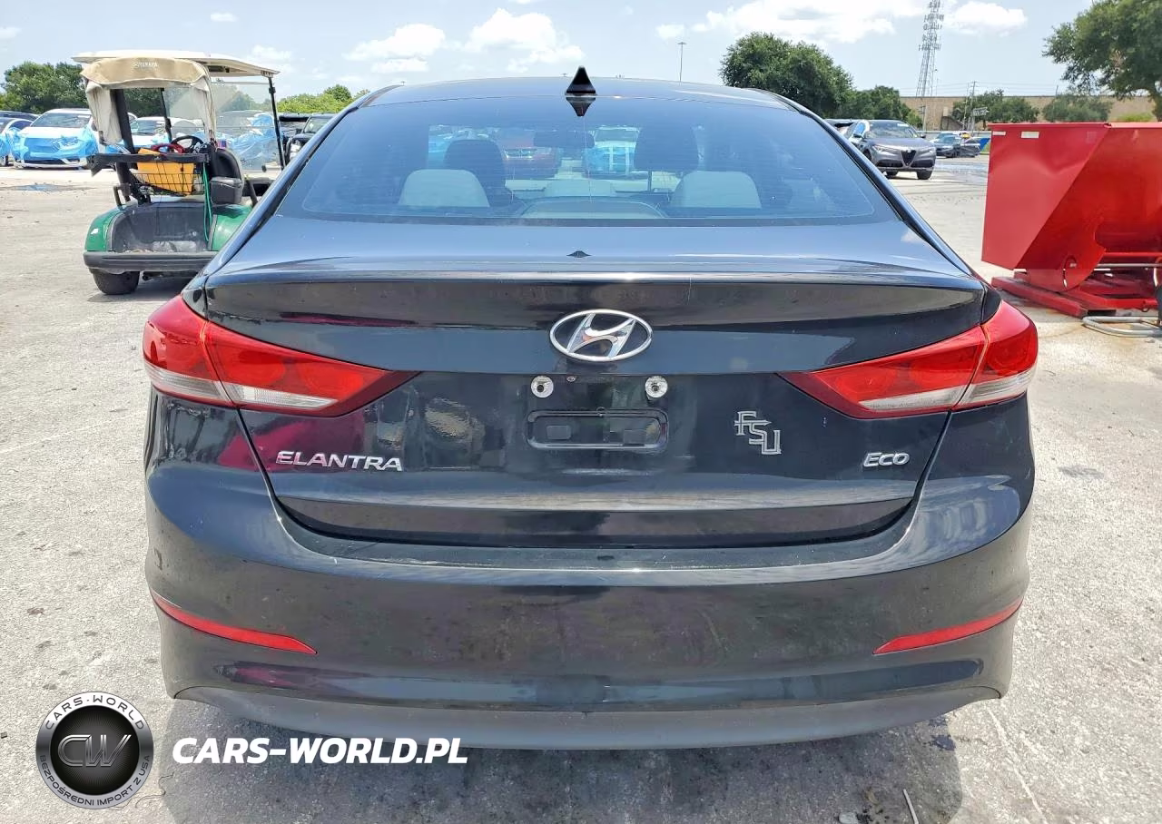 2017 Hyundai Elantra Eco VIN:5NPD94LA6HH074931 - 6