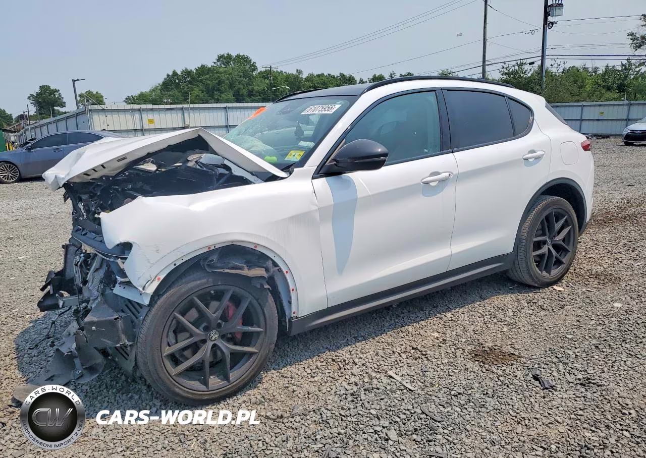 2019 Alfa Romeo Stelvio – zdjęcie 1 z 13