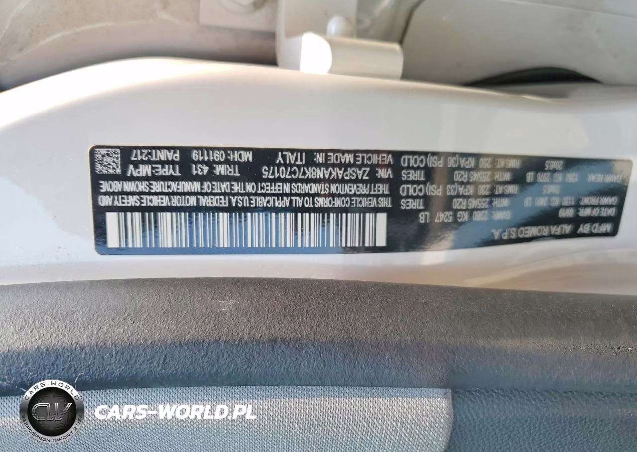 2019 Alfa Romeo Stelvio VIN:ZASPAKAN8K7C70175 - 13