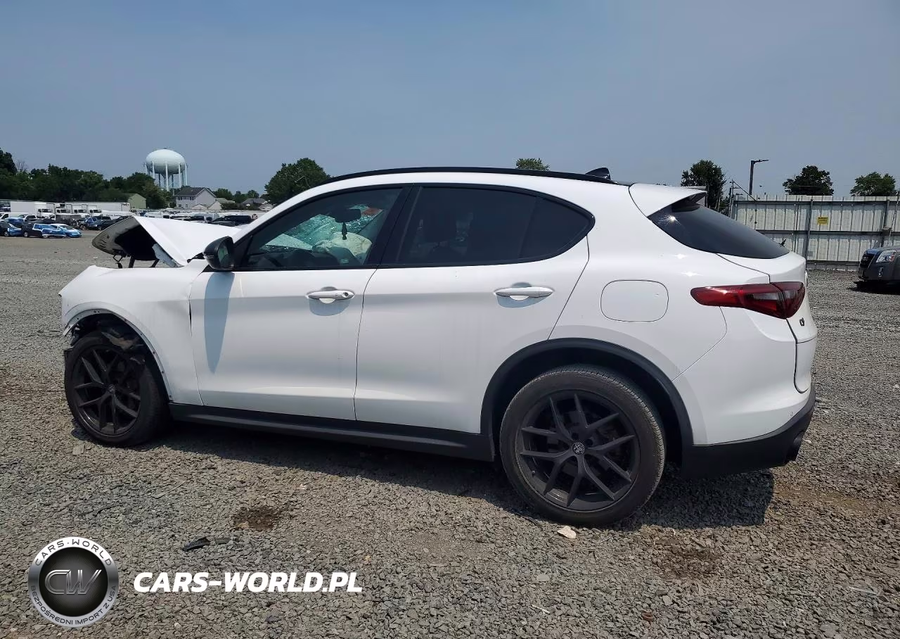 2019 Alfa Romeo Stelvio VIN:ZASPAKAN8K7C70175 - 2