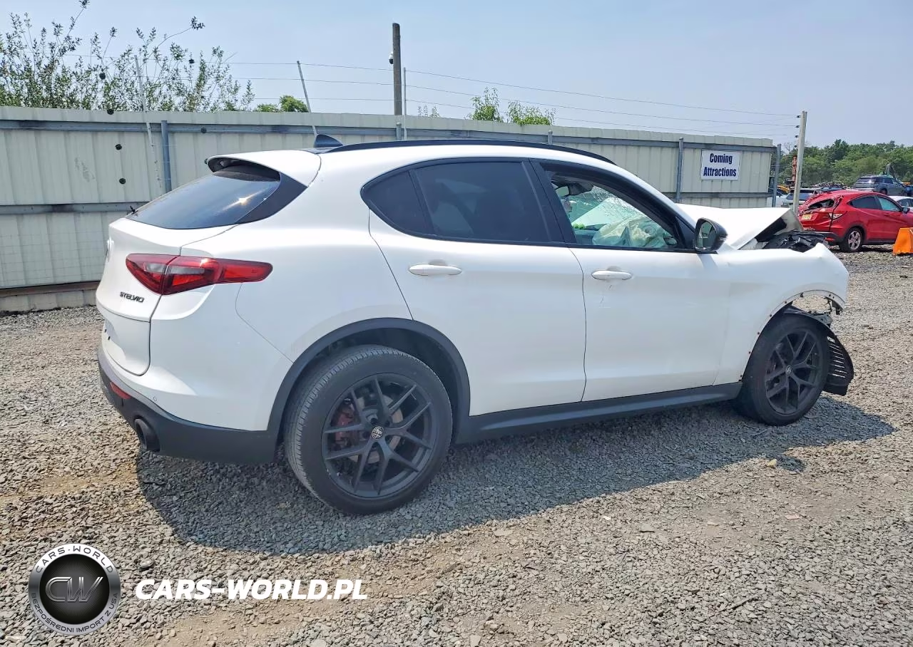 2019 Alfa Romeo Stelvio VIN:ZASPAKAN8K7C70175 - 3