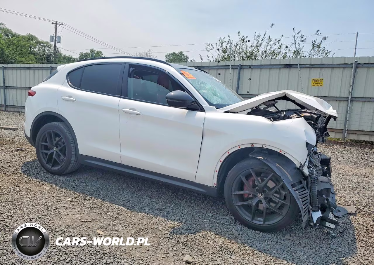 2019 Alfa Romeo Stelvio VIN:ZASPAKAN8K7C70175 - 4