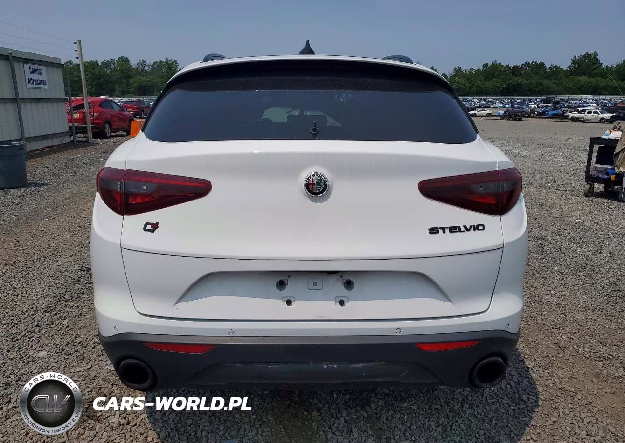 2019 Alfa Romeo Stelvio VIN:ZASPAKAN8K7C70175 - 6