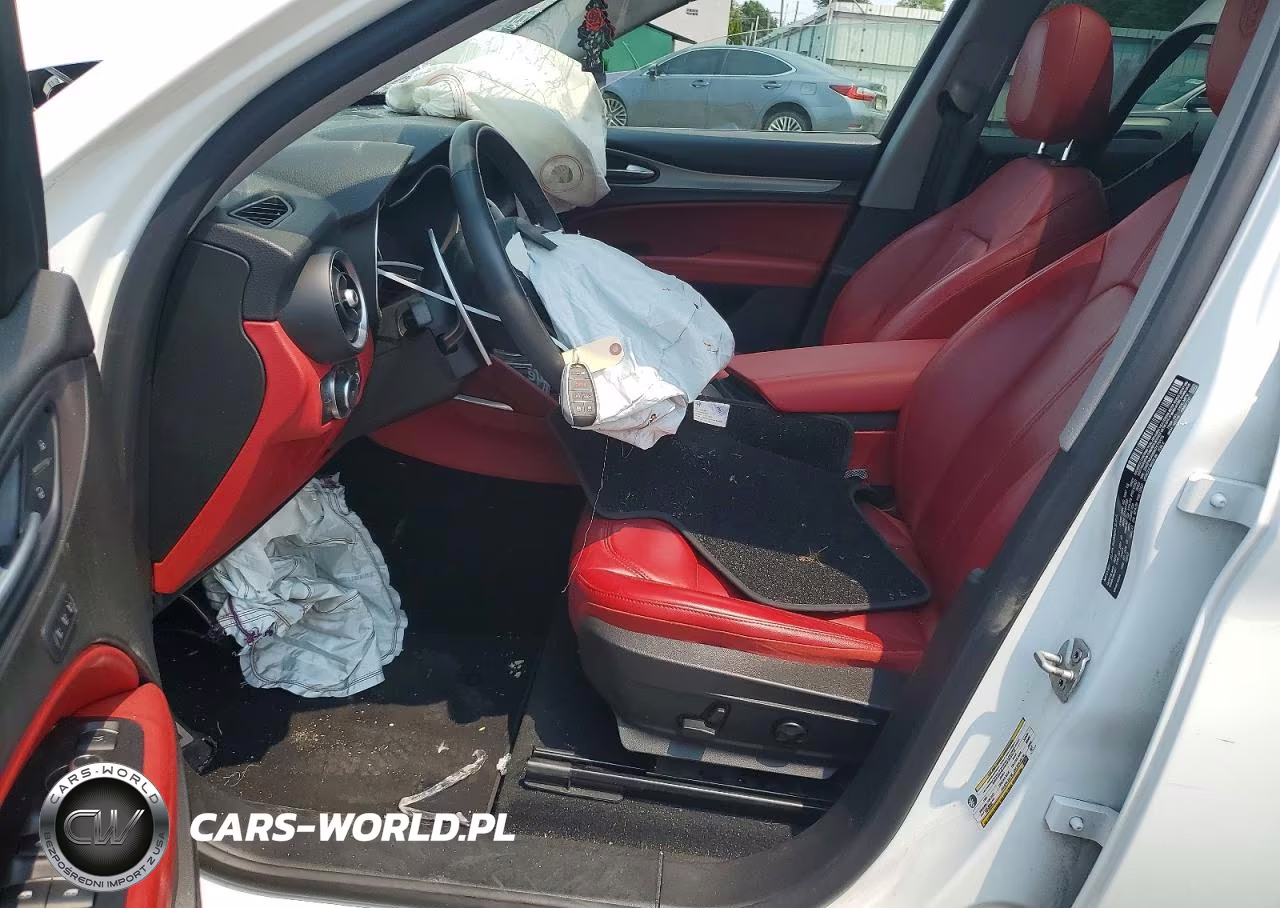 2019 Alfa Romeo Stelvio VIN:ZASPAKAN8K7C70175 - 7