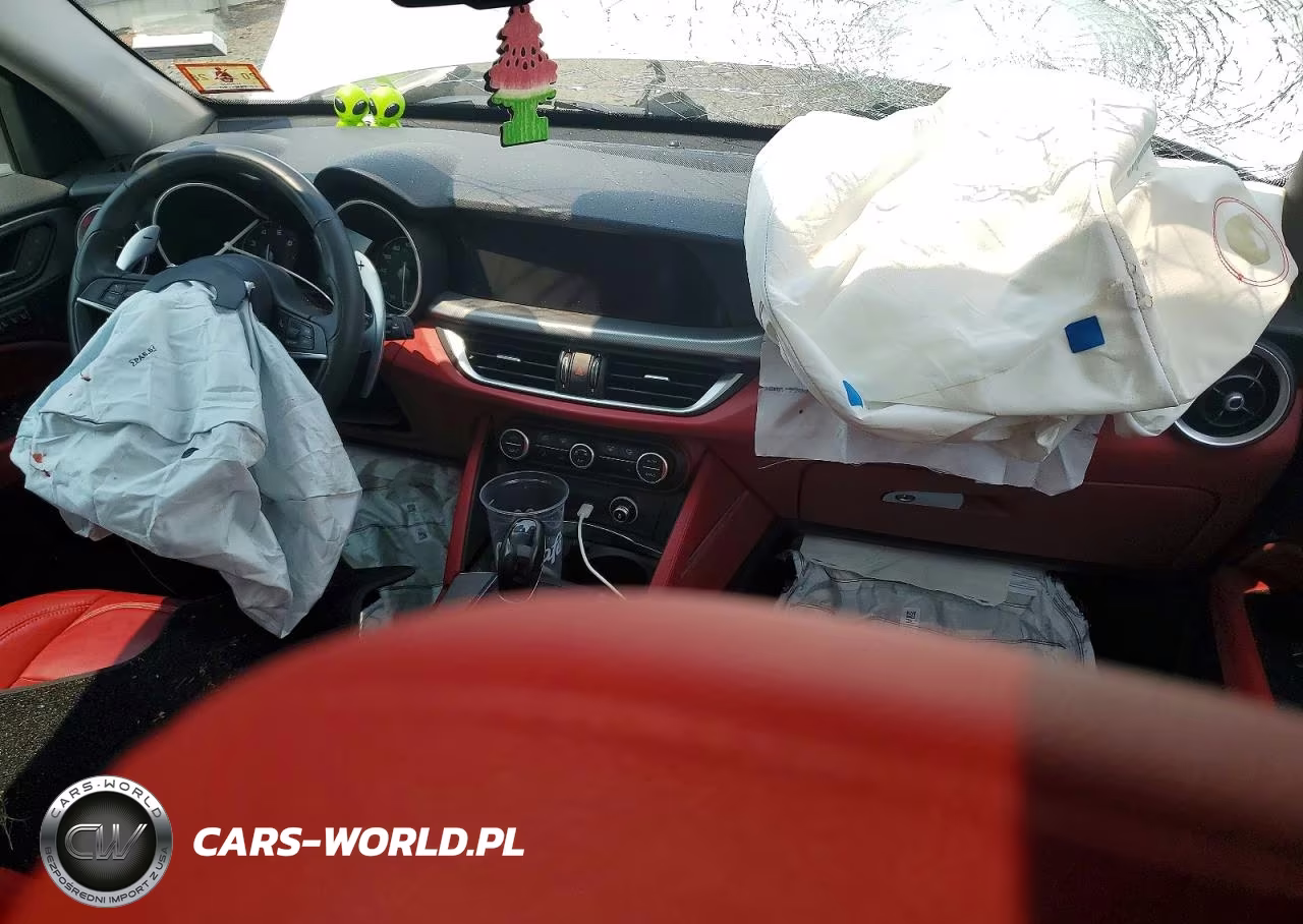 2019 Alfa Romeo Stelvio VIN:ZASPAKAN8K7C70175 - 8