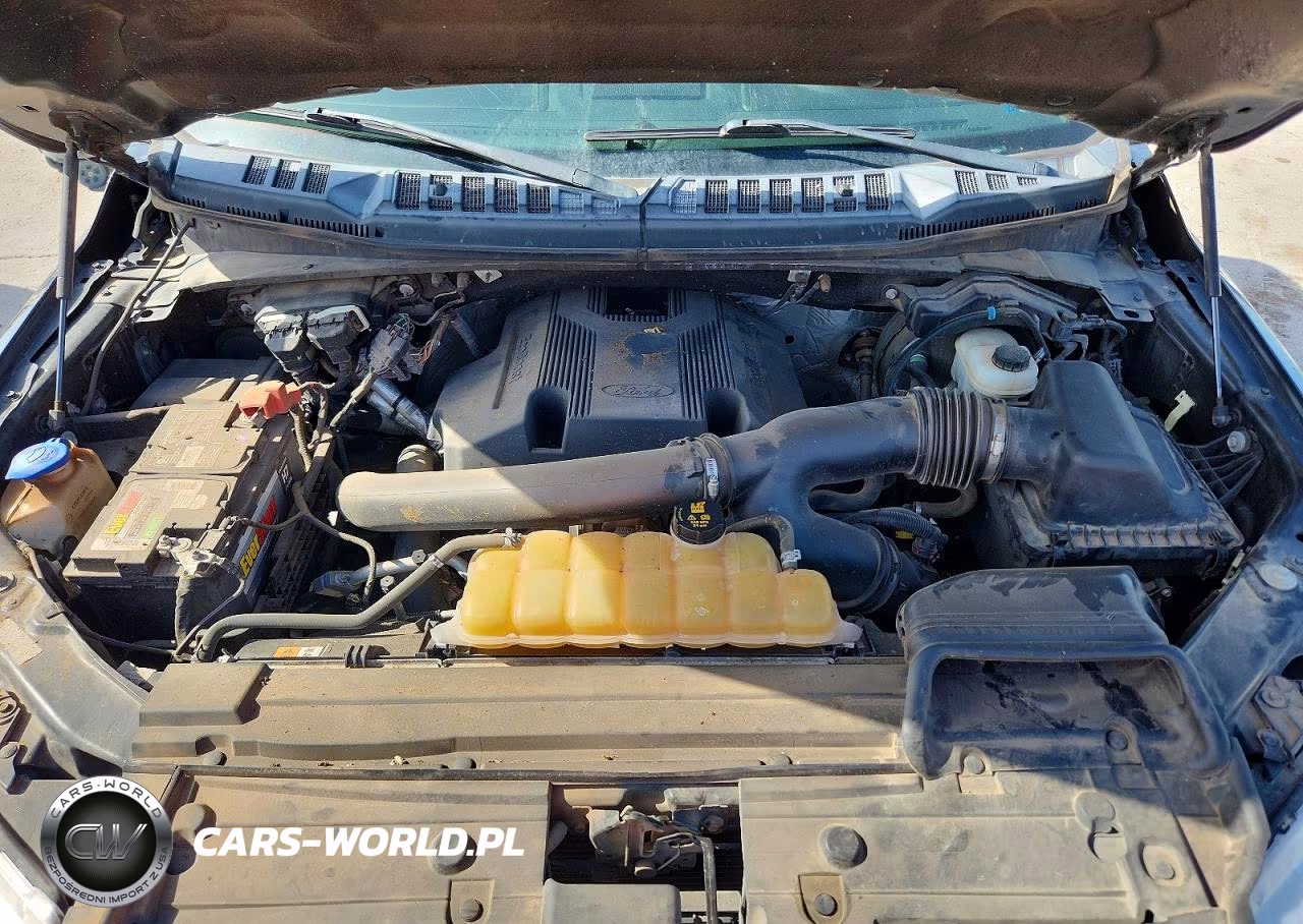 2019 Ford F150 Supercrew VIN:1FTEW1E46KFB49101 - 11