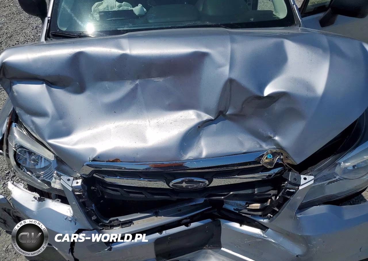 2018 Subaru Forester 2.5I VIN:JF2SJABC1JH493582 - 11