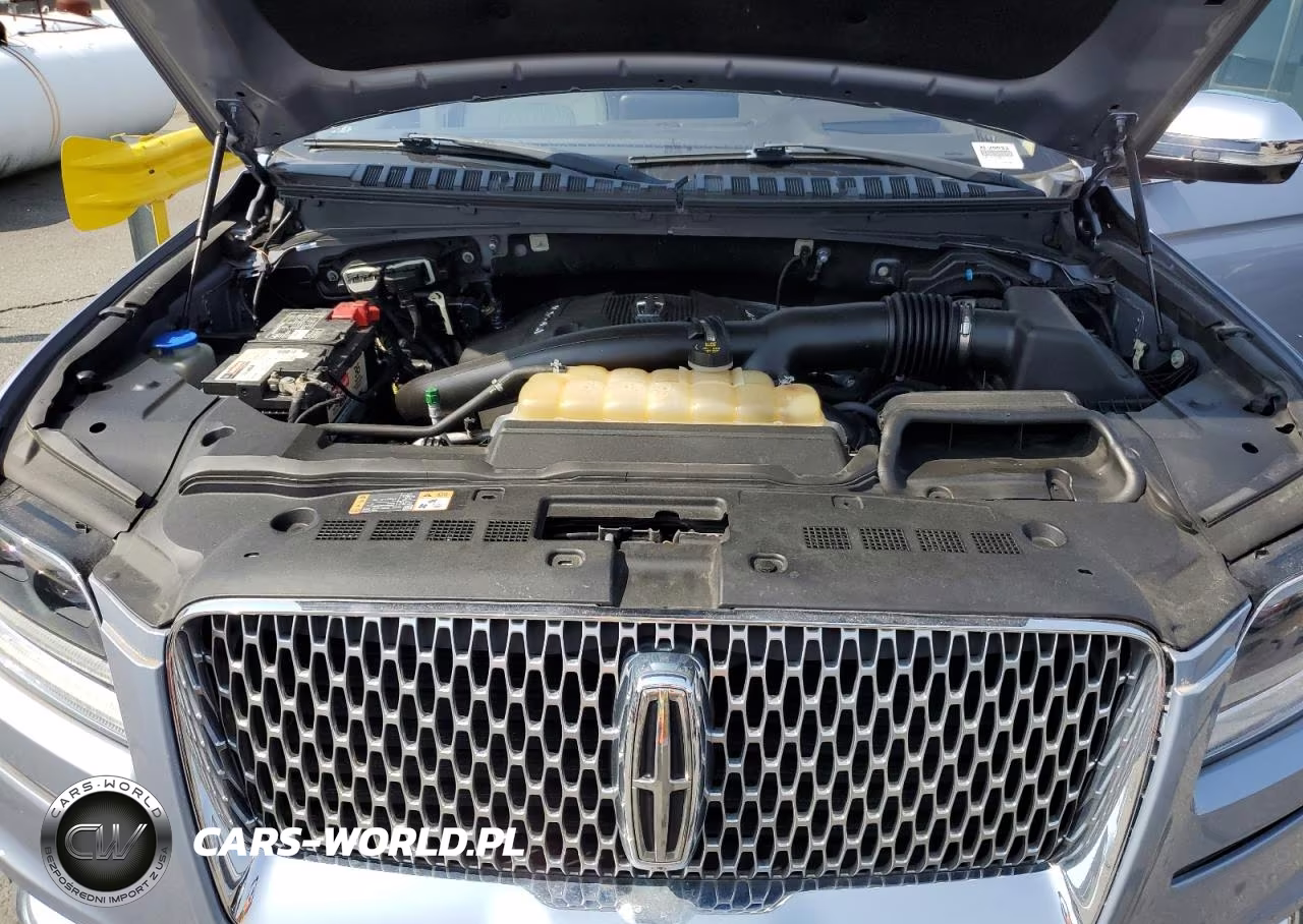 2019 Lincoln Navigator Black Label VIN:5LMJJ2TT3KEL07096 - 12