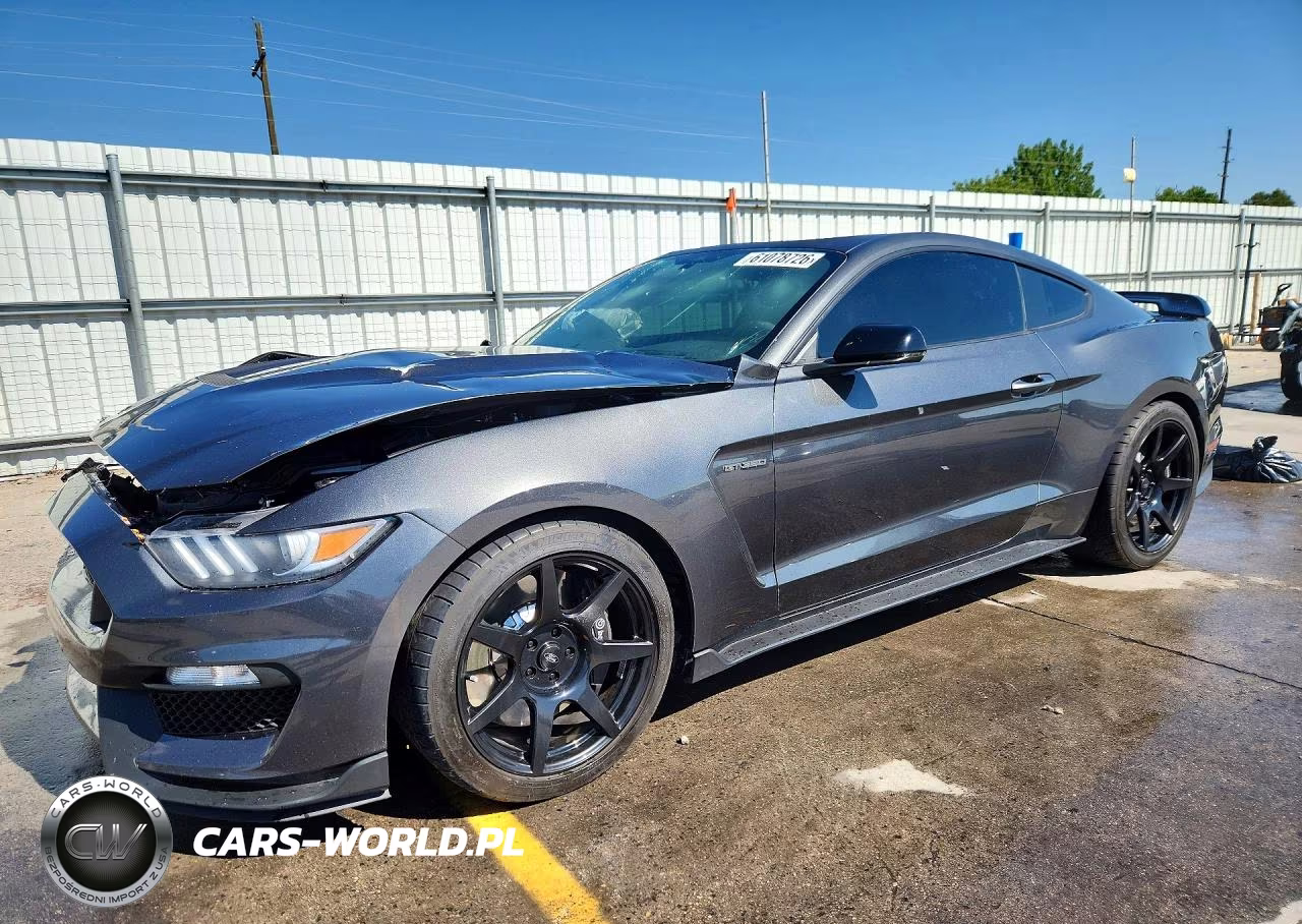 2019 Ford Mustang Shelby Gt350 VIN:1FA6P8JZ1K5552376 - 1