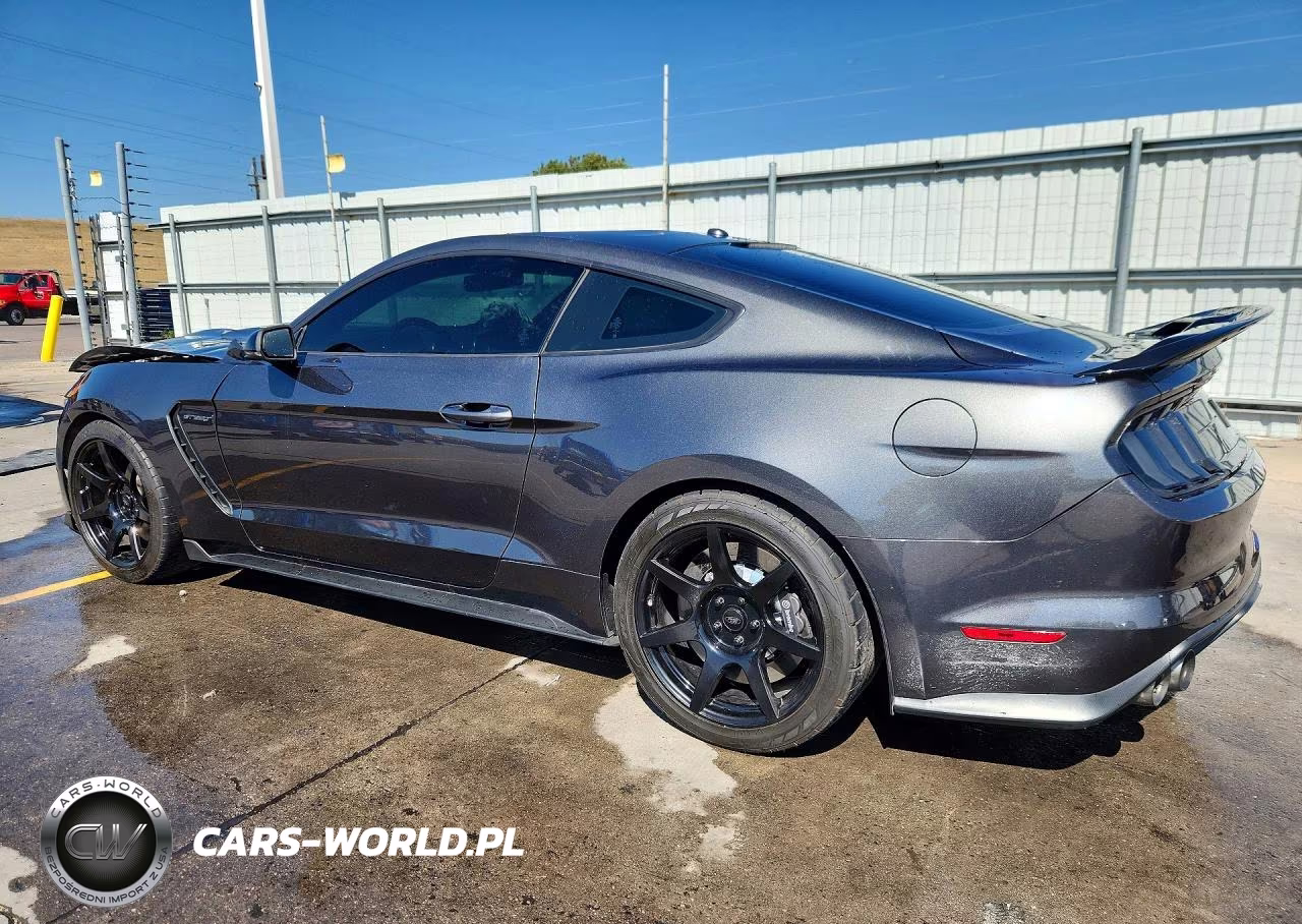 2019 Ford Mustang Shelby Gt350 VIN:1FA6P8JZ1K5552376 - 2