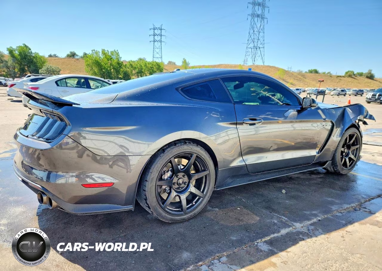 2019 Ford Mustang Shelby Gt350 VIN:1FA6P8JZ1K5552376 - 3