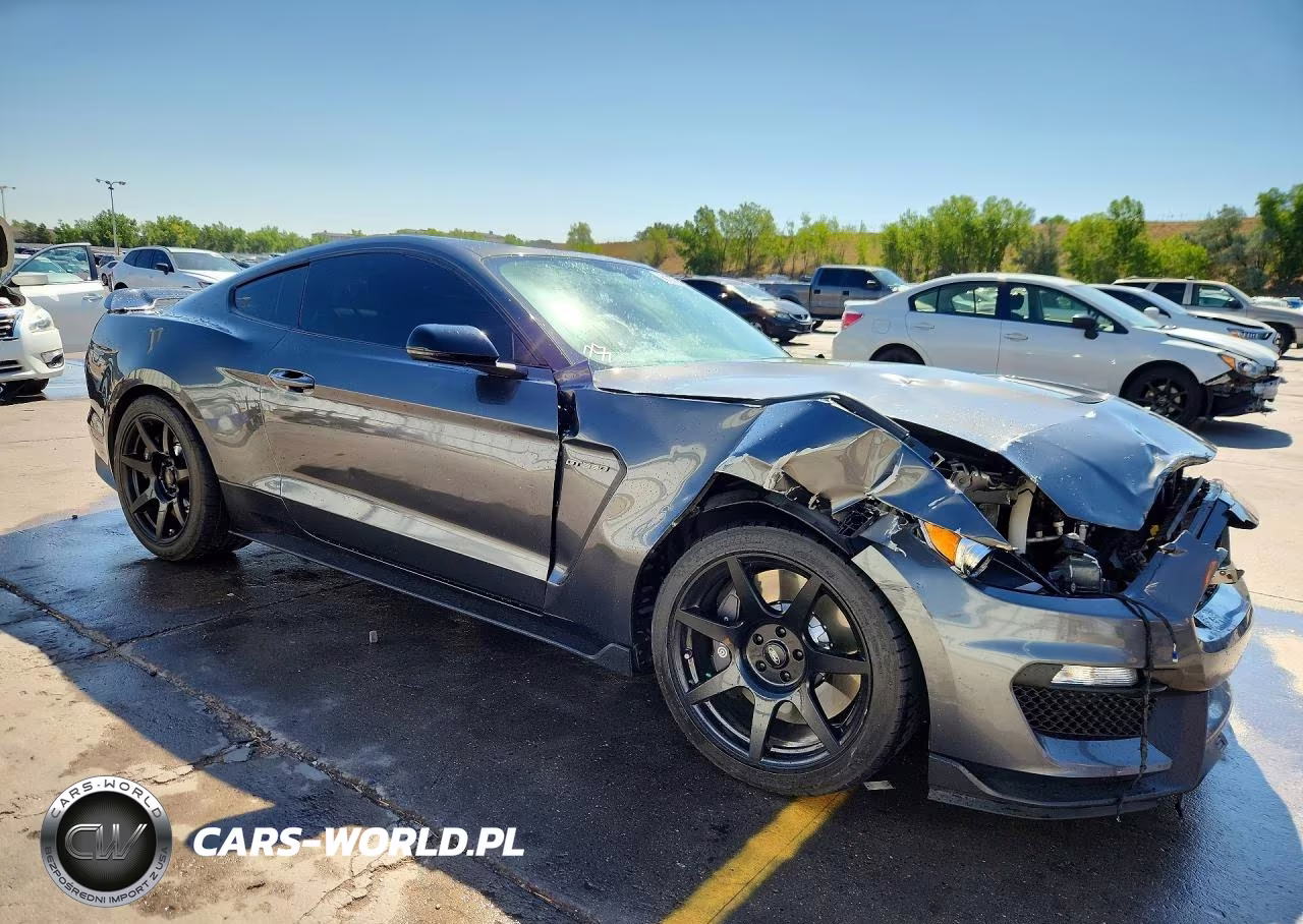 2019 Ford Mustang Shelby Gt350 VIN:1FA6P8JZ1K5552376 - 4