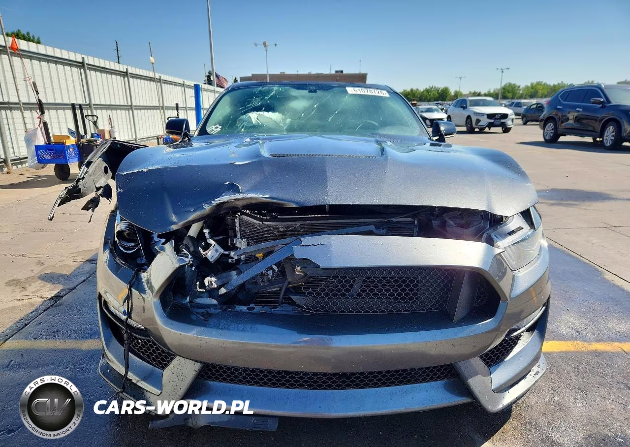 2019 Ford Mustang Shelby Gt350 VIN:1FA6P8JZ1K5552376 - 5