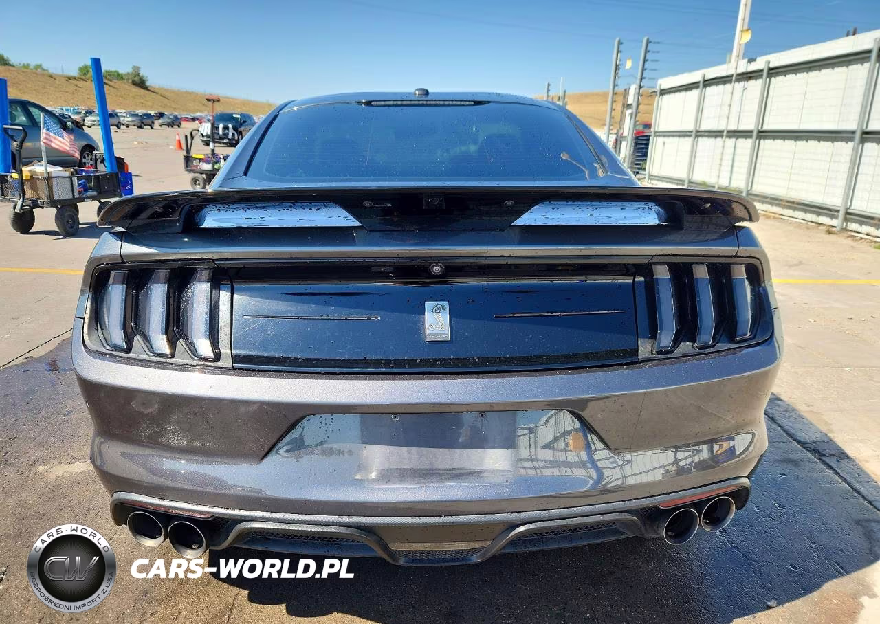 2019 Ford Mustang Shelby Gt350 VIN:1FA6P8JZ1K5552376 - 6