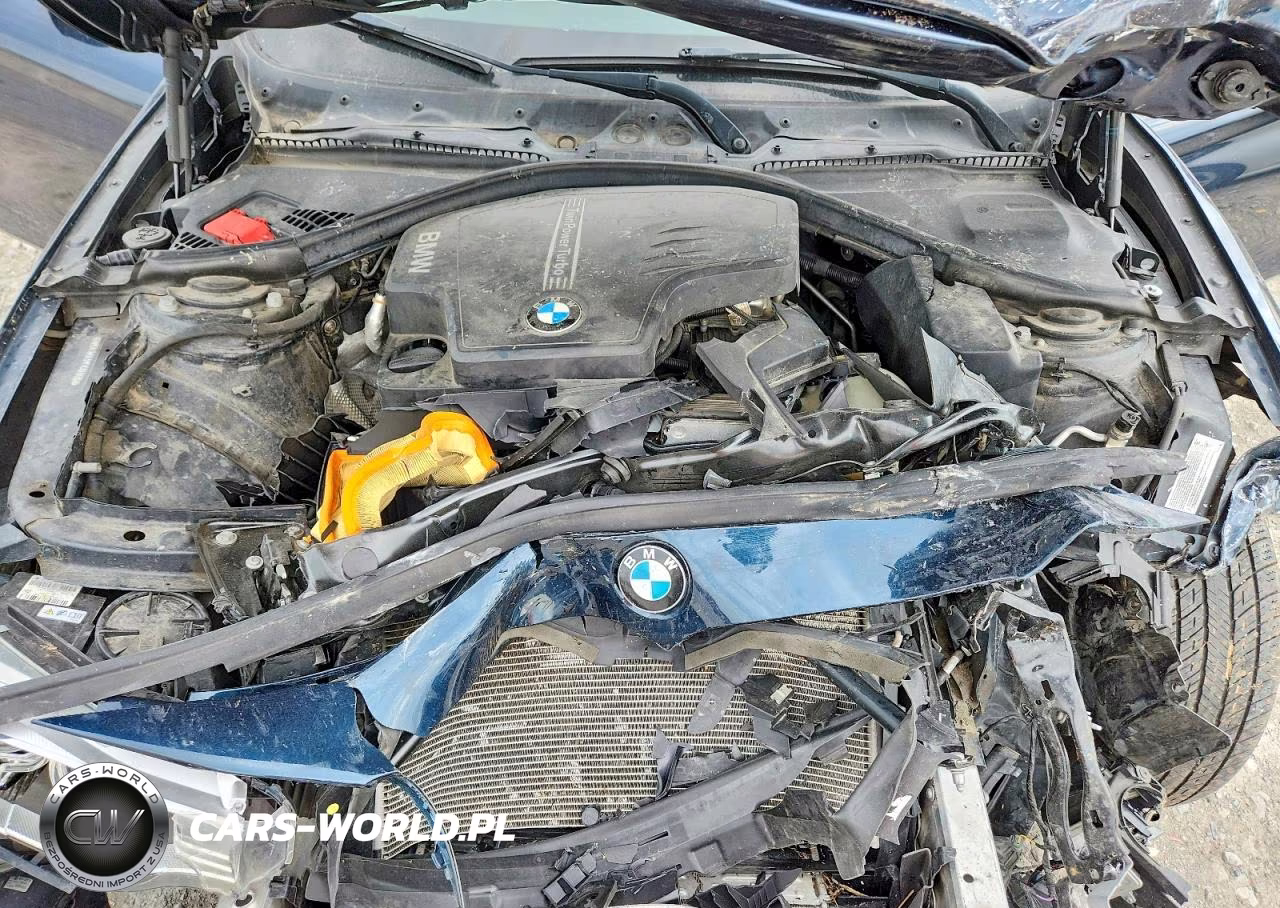 2015 BMW 428 Xi VIN:WBA3N5C5XFK197806 - 11