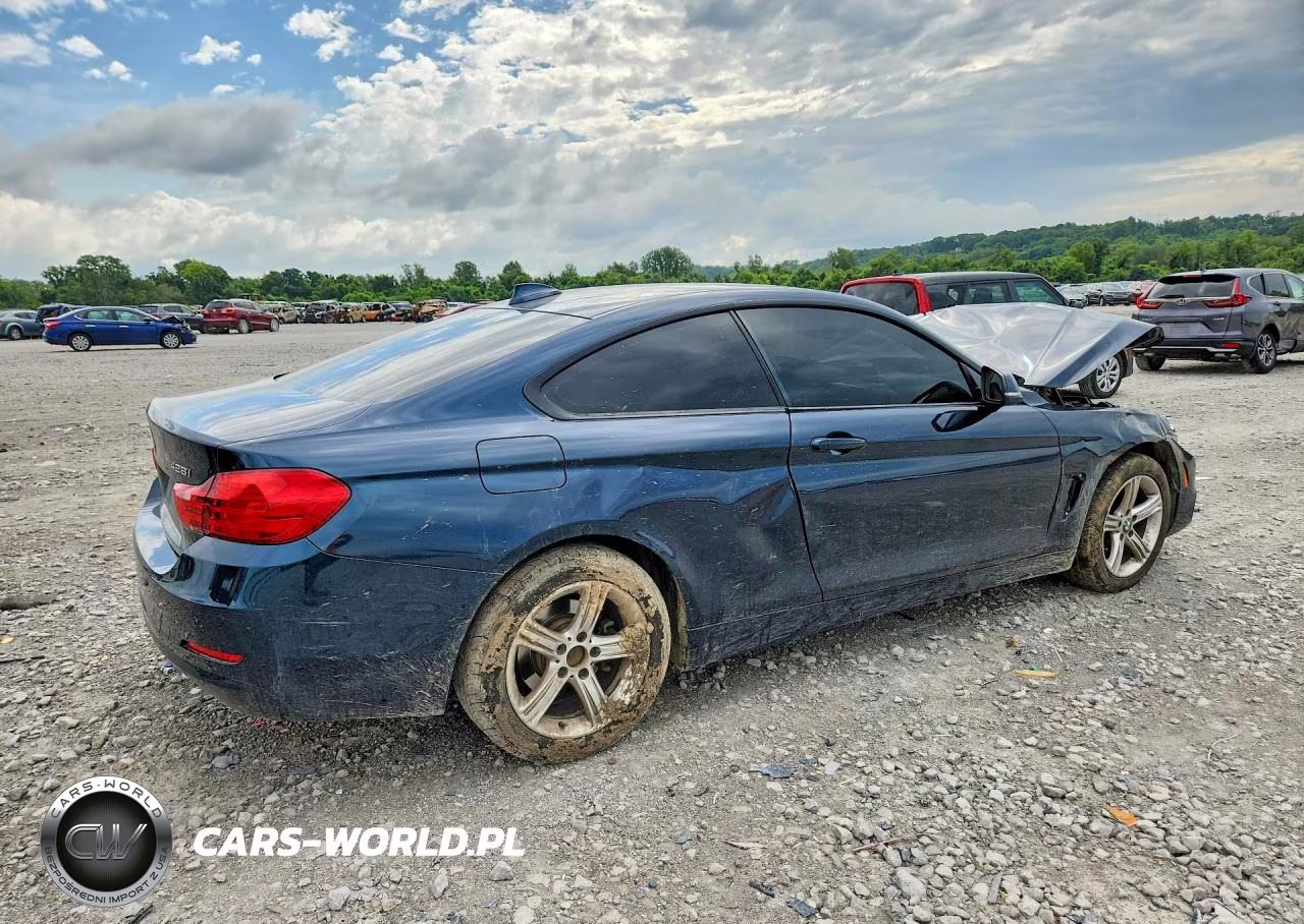 2015 BMW 428 Xi VIN:WBA3N5C5XFK197806 - 3
