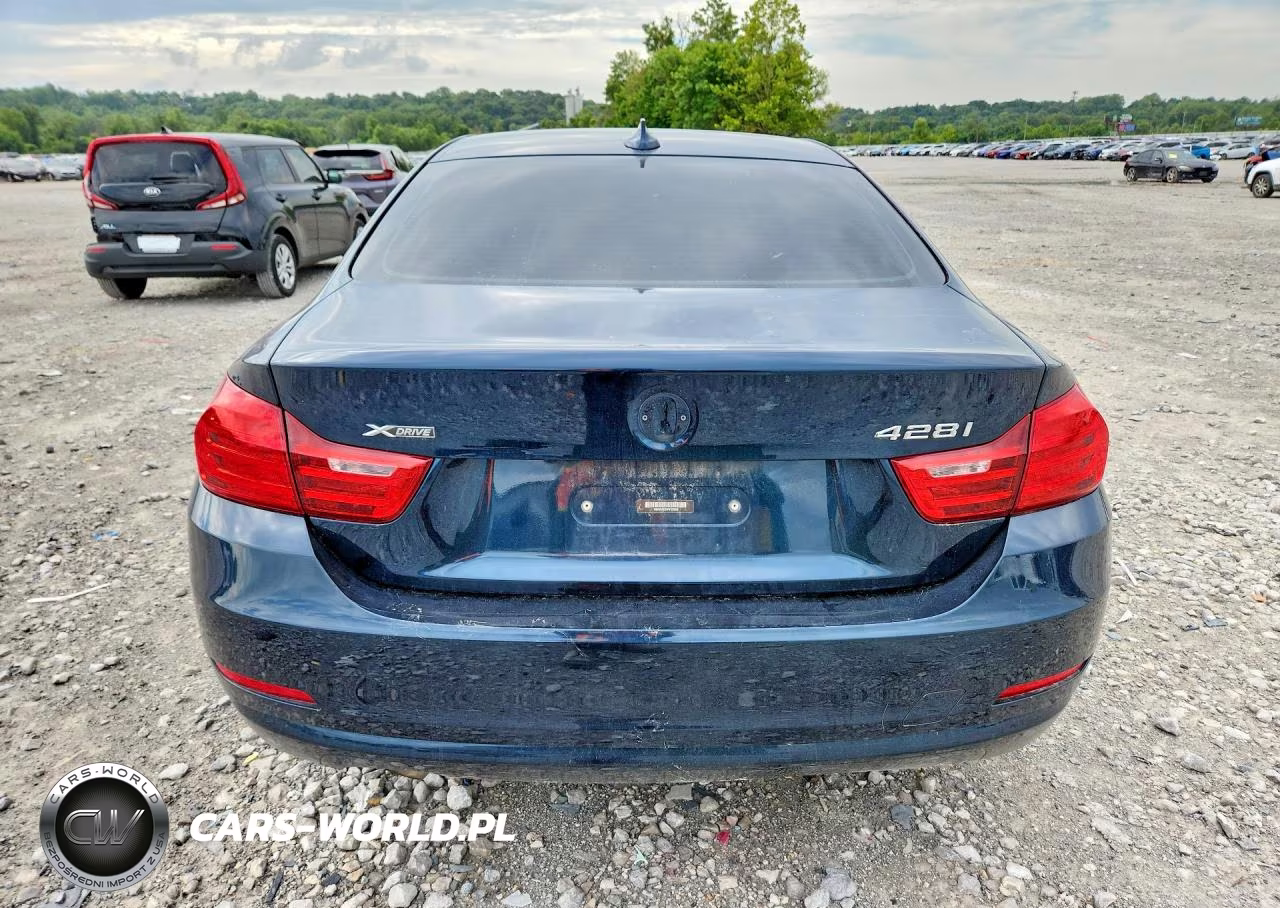 2015 BMW 428 Xi VIN:WBA3N5C5XFK197806 - 6