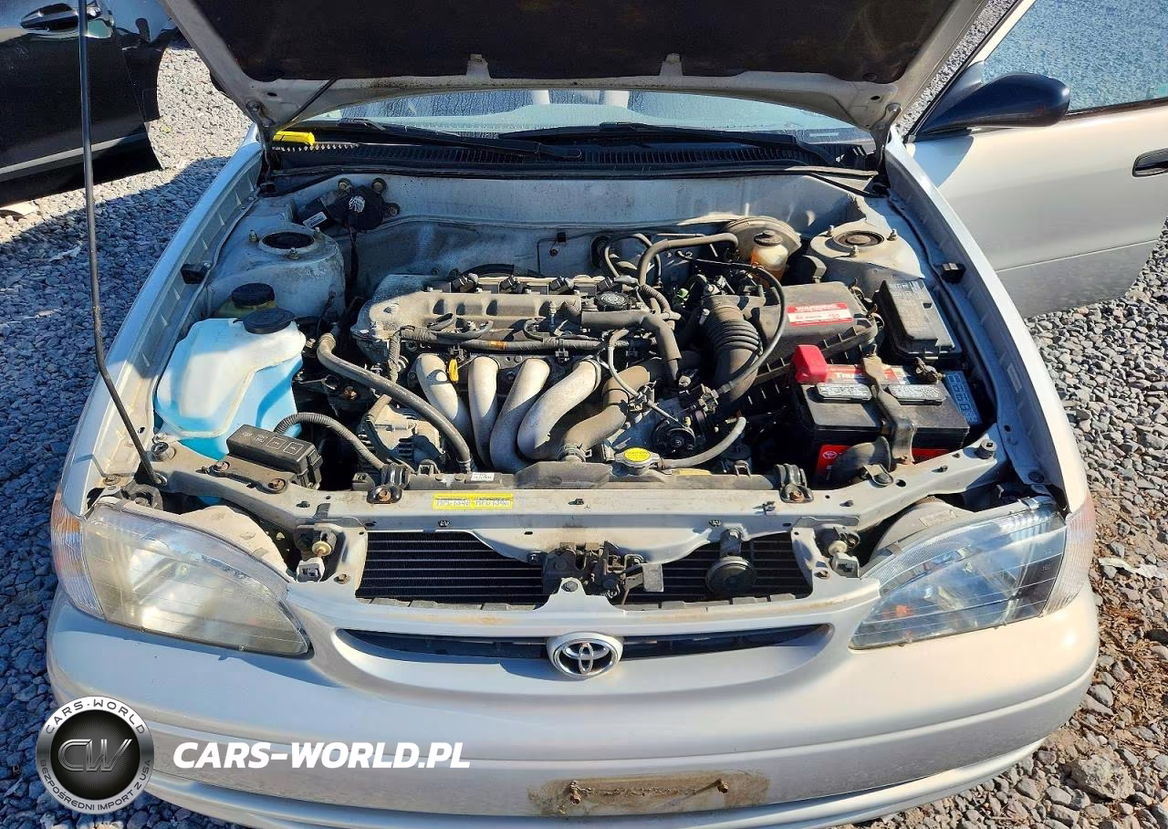 2000 Toyota Corolla Ve VIN:1NXBR12E1YZ406270 - 11