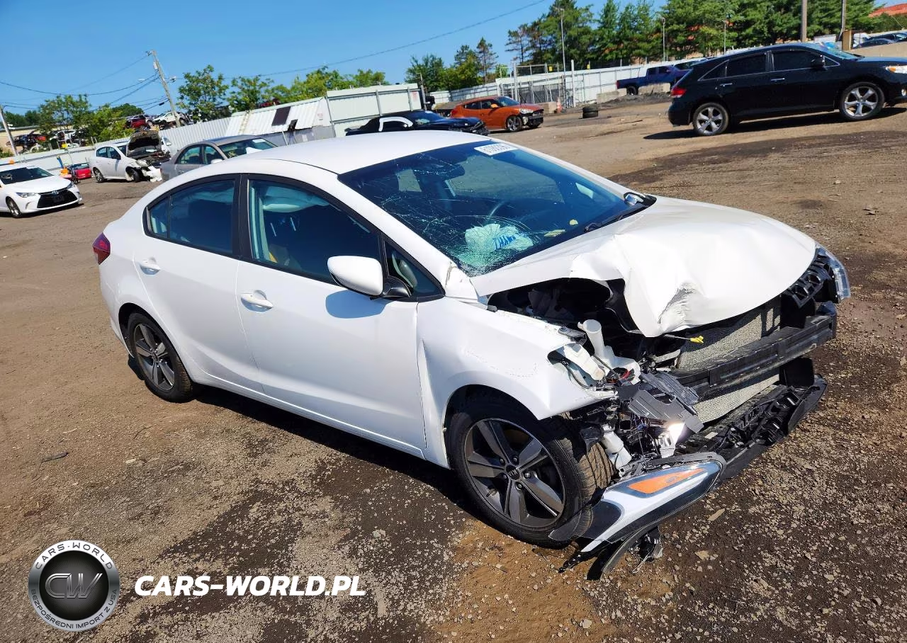 2018 Kia Forte Lx VIN:3KPFL4A7XJE242372 - 4