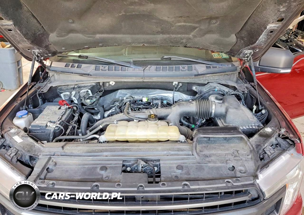 2019 Ford F150 Supercrew VIN:1FTEW1EP2KFD11445 - 11