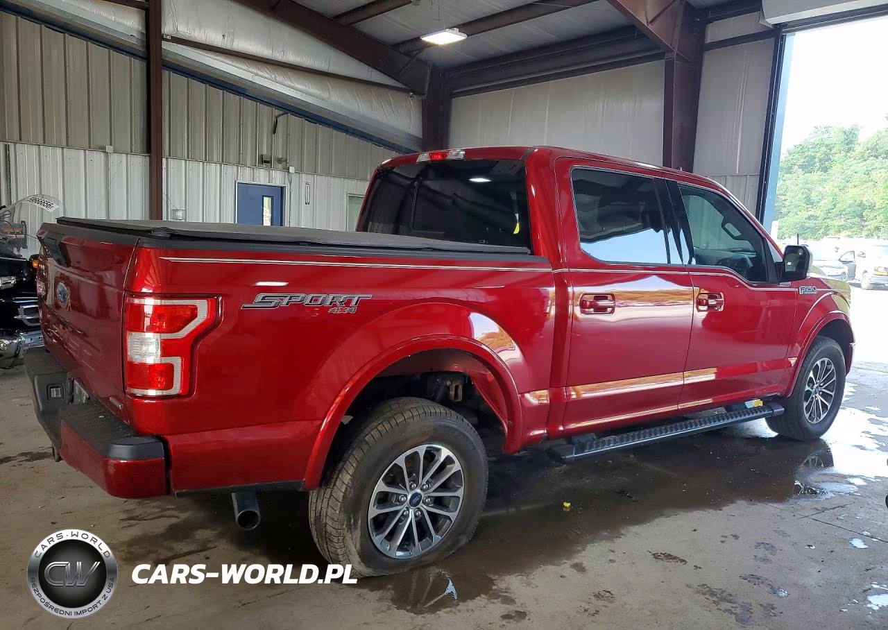 2019 Ford F150 Supercrew VIN:1FTEW1EP2KFD11445 - 3