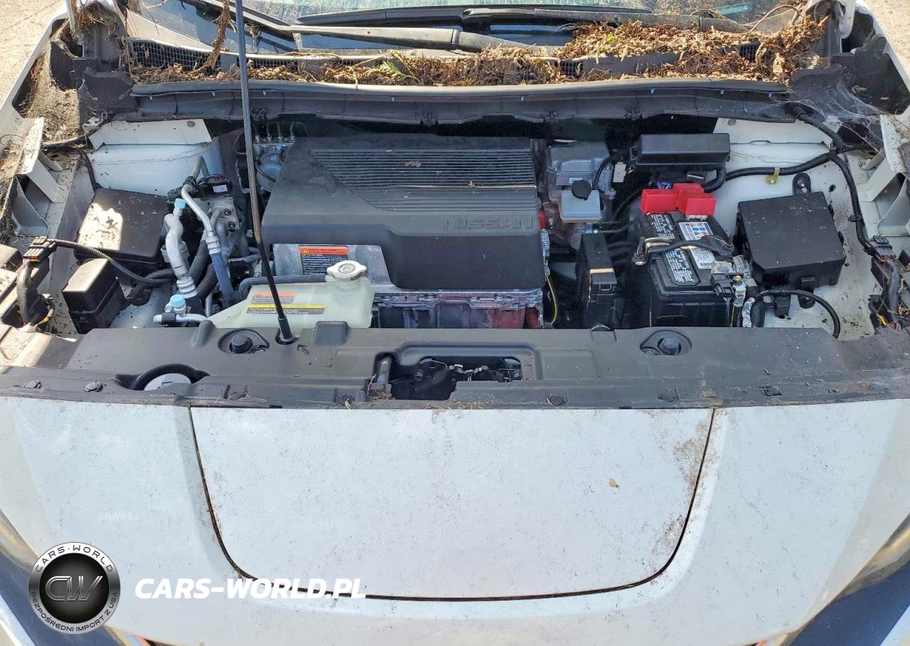 2019 Nissan Leaf Sv Plus VIN:1N4BZ1CP1KC320125 - 12