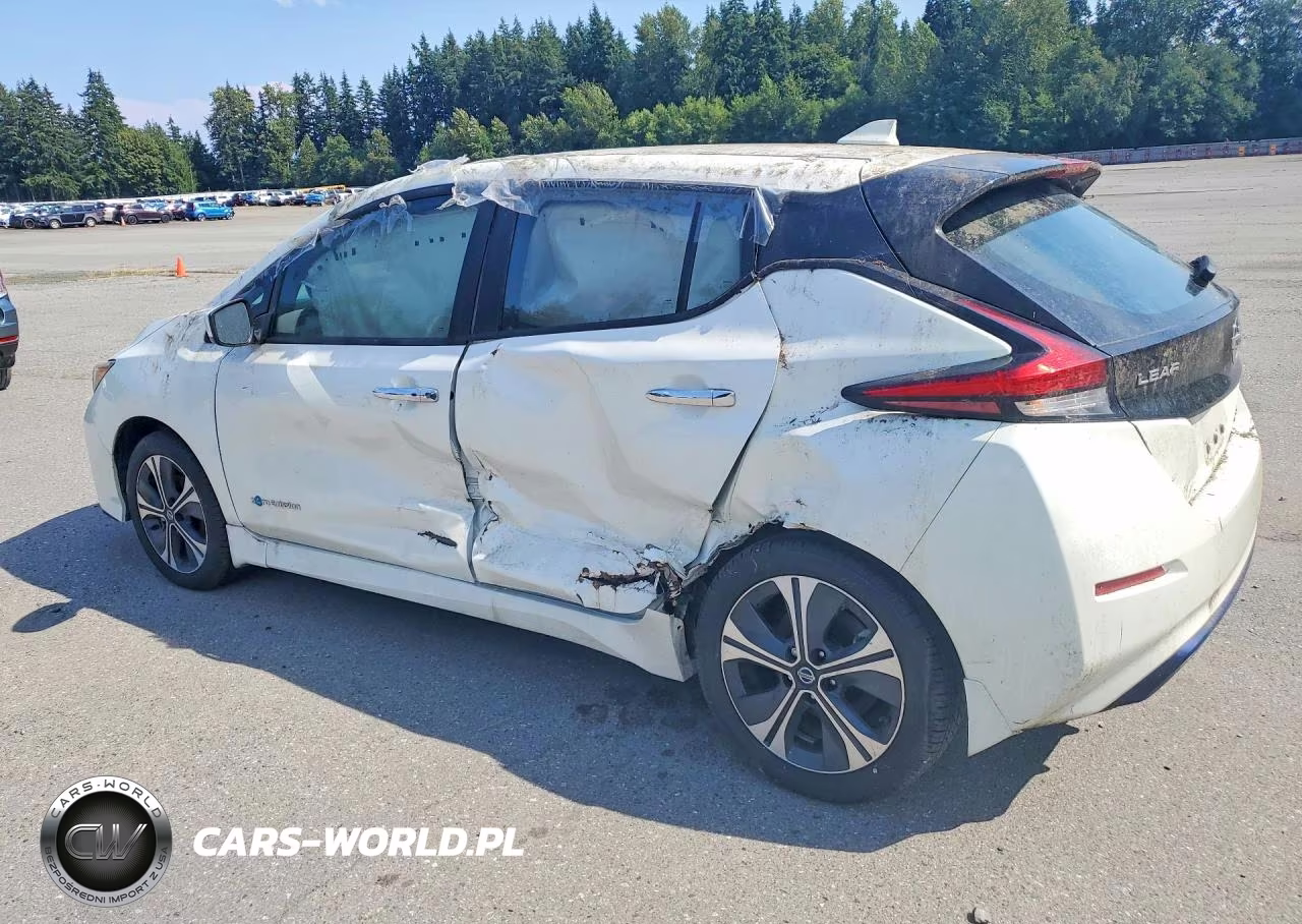 2019 Nissan Leaf Sv Plus VIN:1N4BZ1CP1KC320125 - 2