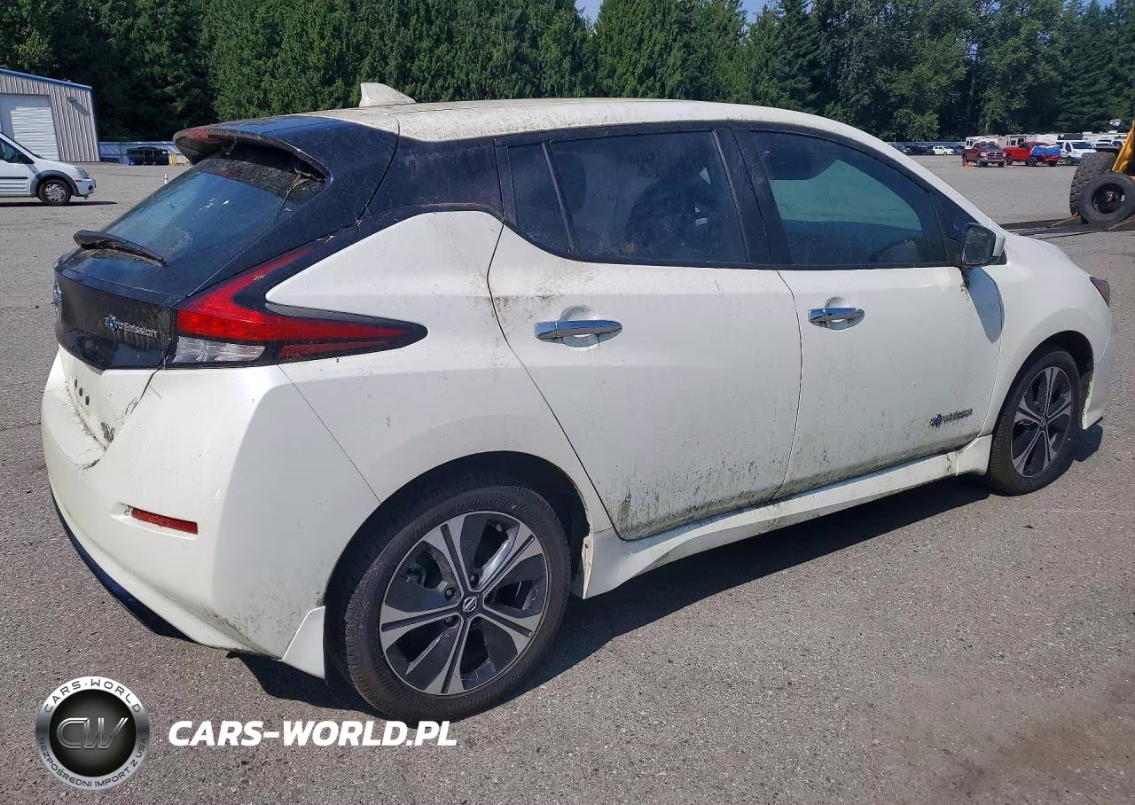 2019 Nissan Leaf Sv Plus VIN:1N4BZ1CP1KC320125 - 3