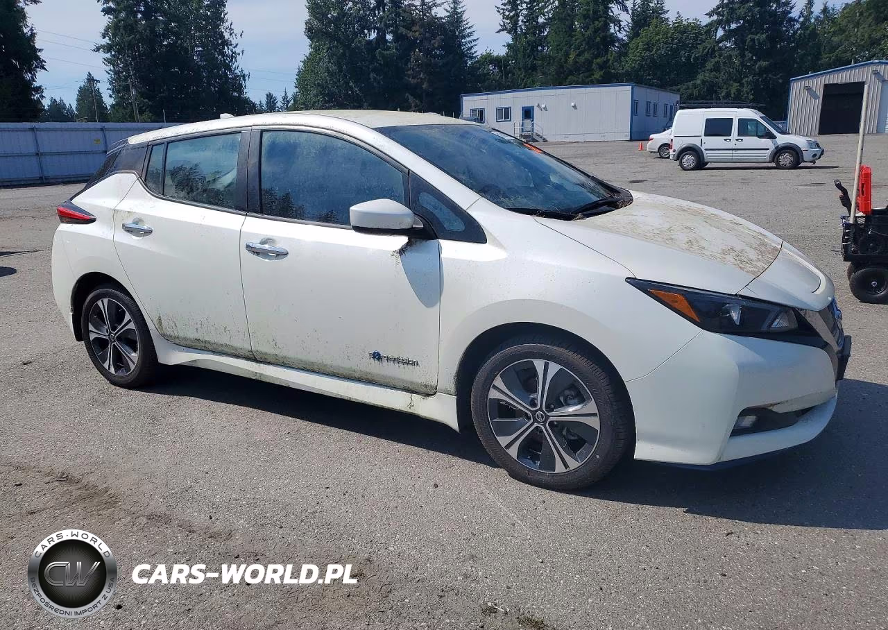 2019 Nissan Leaf Sv Plus VIN:1N4BZ1CP1KC320125 - 4