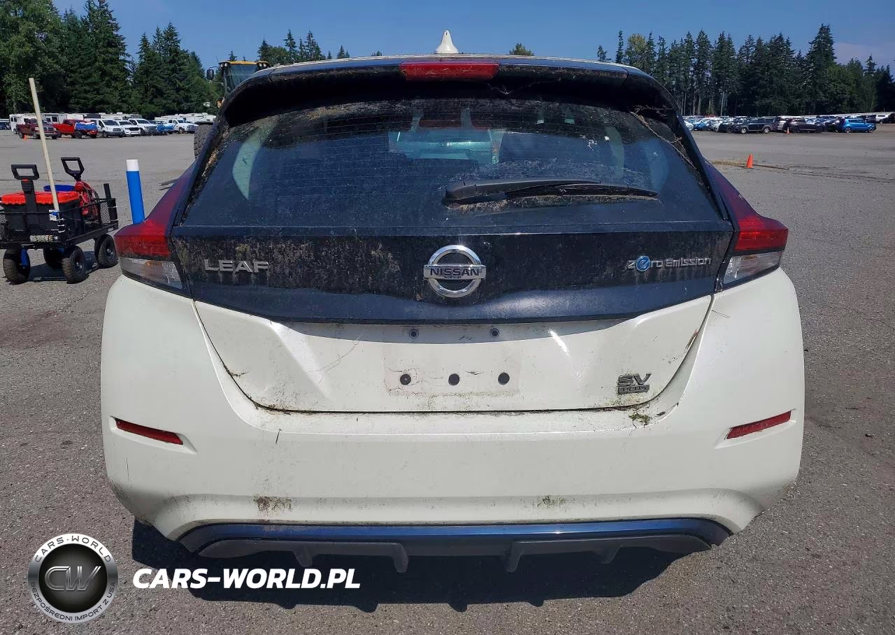 2019 Nissan Leaf Sv Plus VIN:1N4BZ1CP1KC320125 - 6
