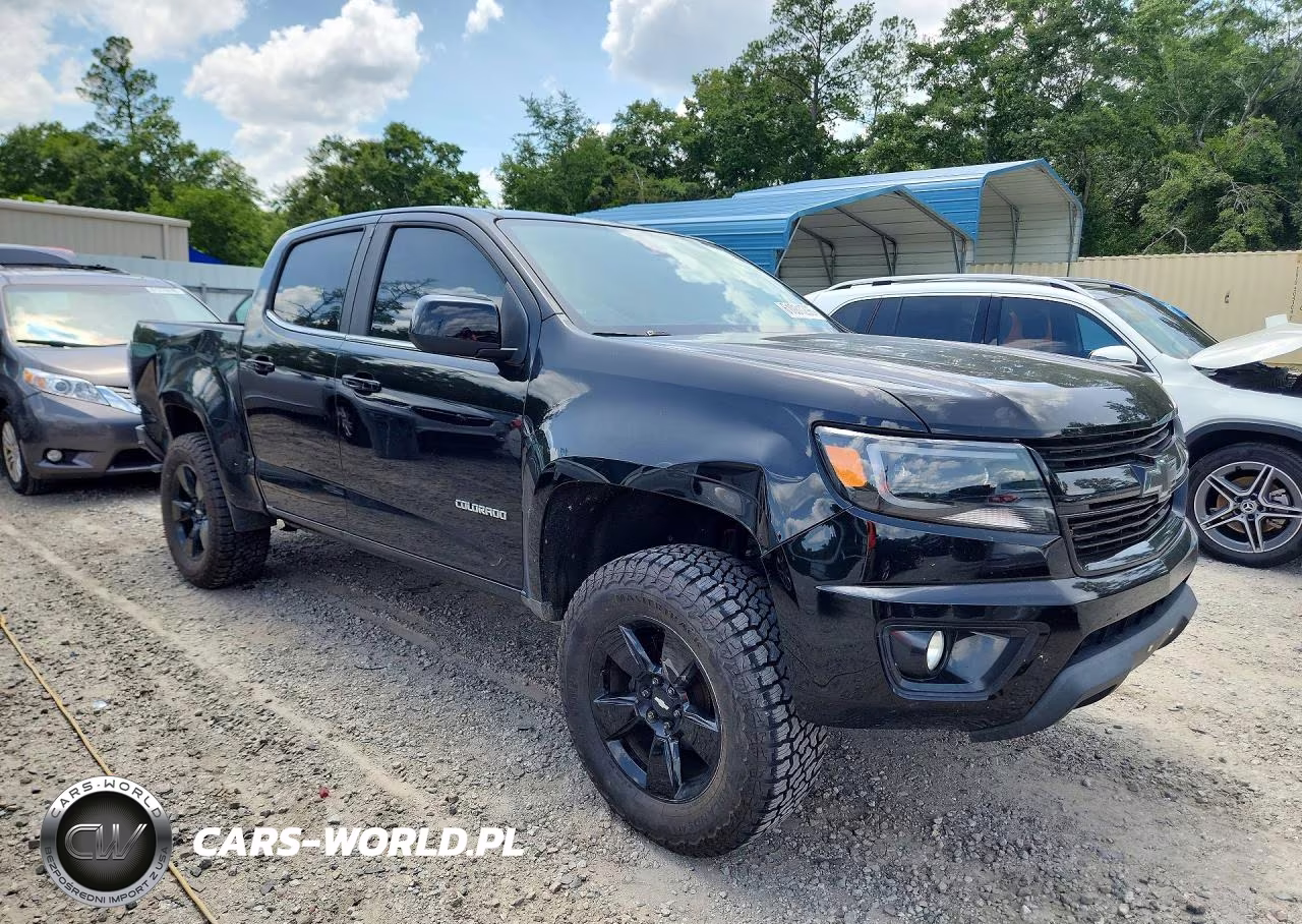 2016 Chevrolet Colorado Lt VIN:1GCGSCE39G1221436 - 4