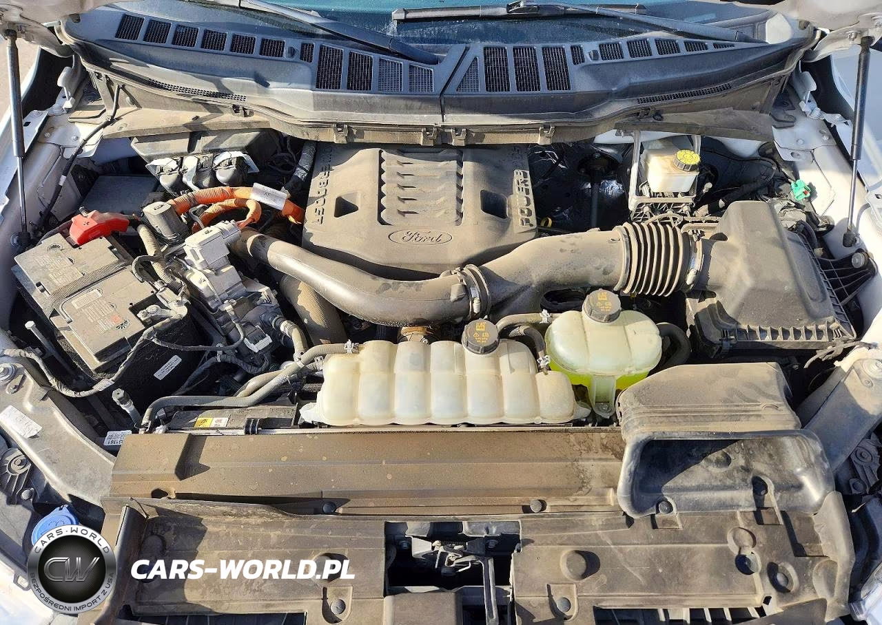 2023 Ford F150 Supercrew VIN:1FTFW1ED4PFD05275 - 11