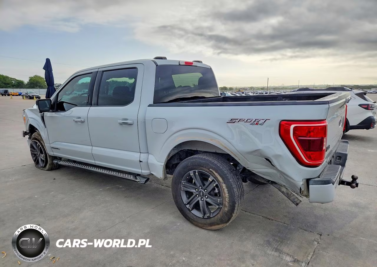 2023 Ford F150 Supercrew VIN:1FTFW1ED4PFD05275 - 2