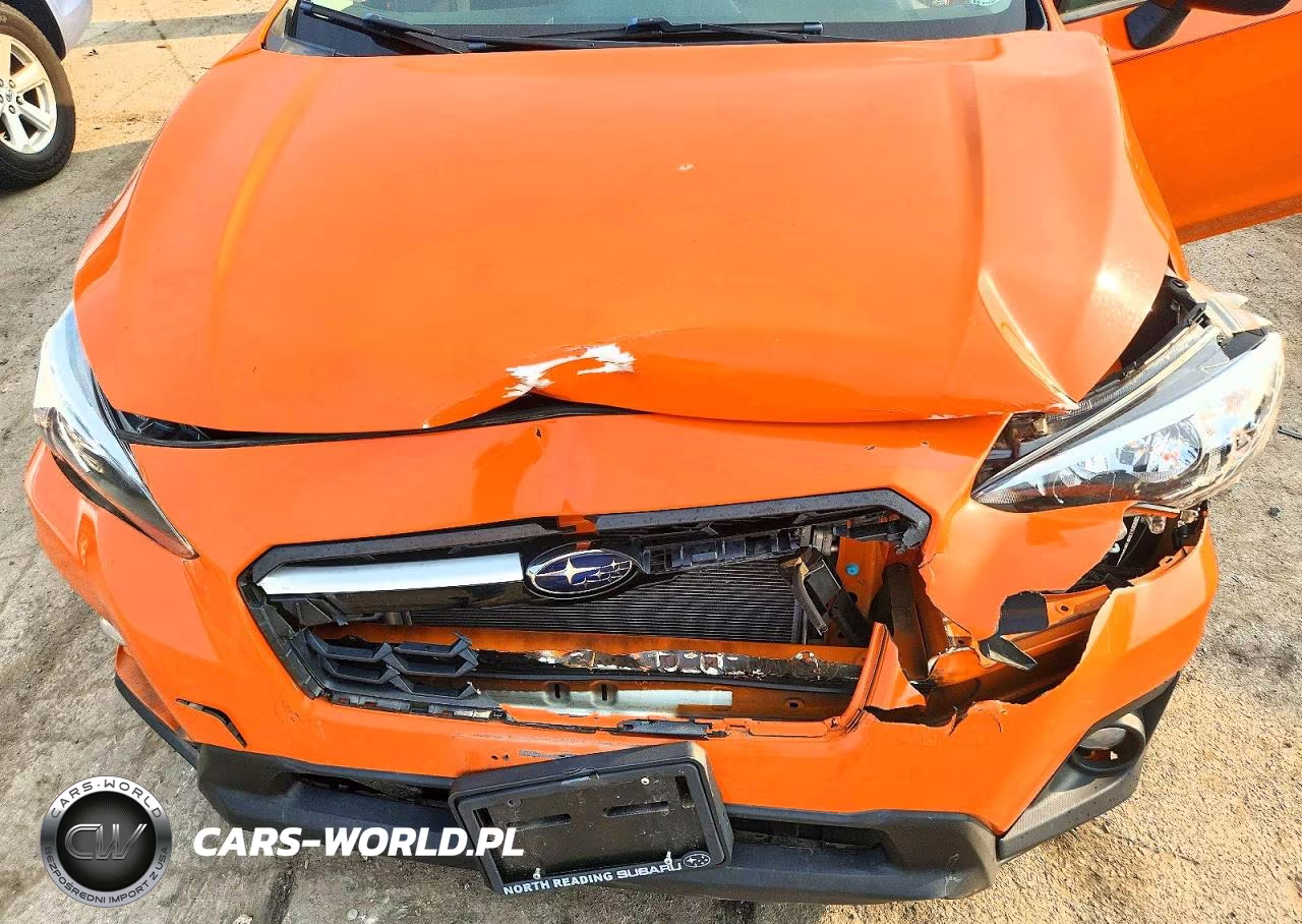 2019 Subaru Crosstrek Premium VIN:JF2GTACC9K8306489 - 11