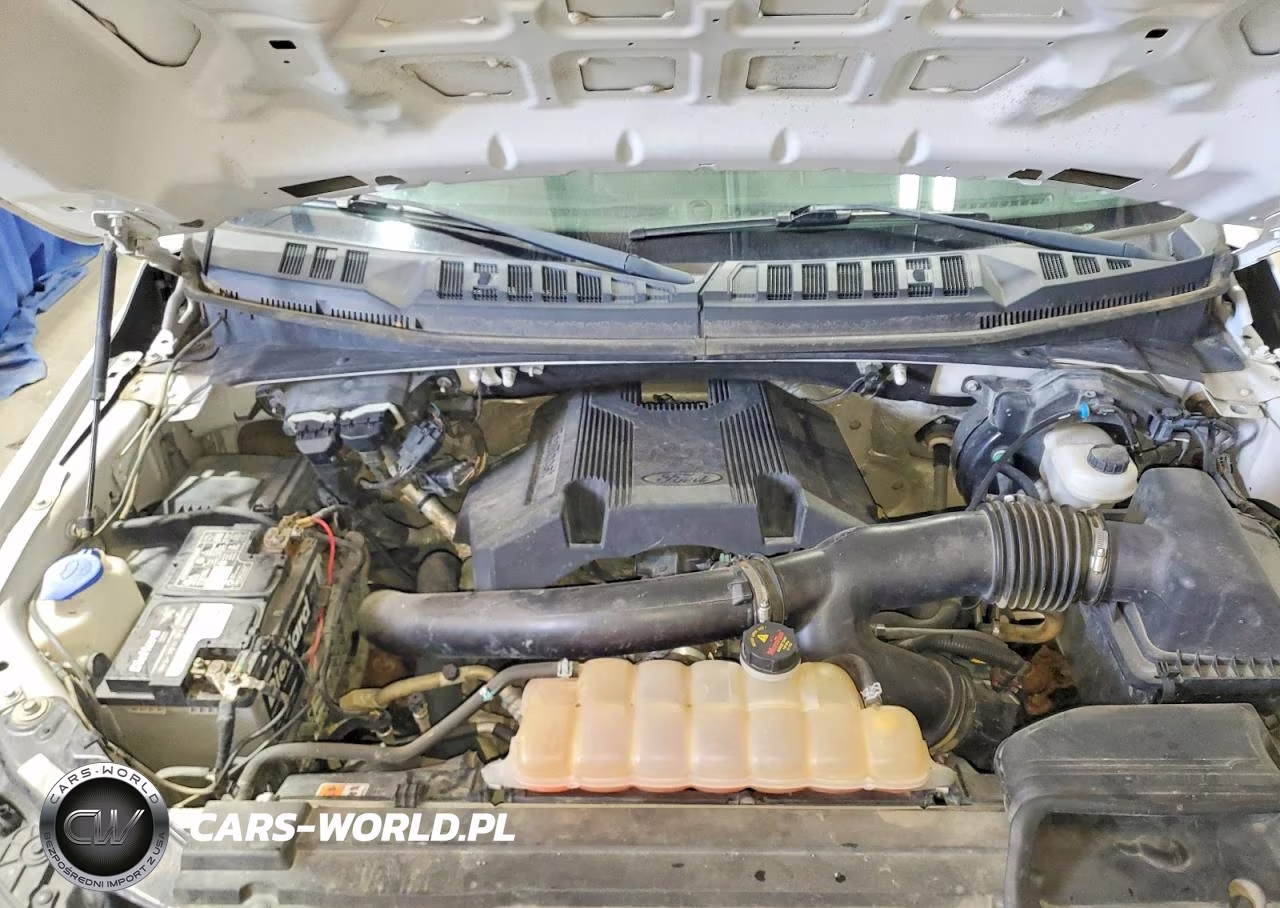 2019 Ford F150 Supercrew VIN:1FTEW1E49KFA31138 - 11