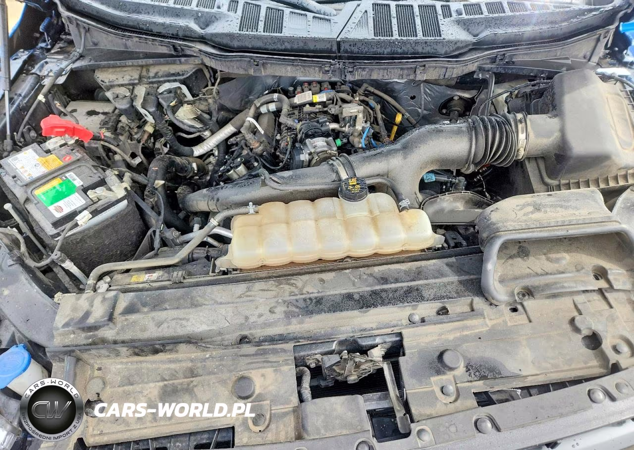 2021 Ford F150 Supercrew VIN:1FTEW1CP0MFD08906 - 11