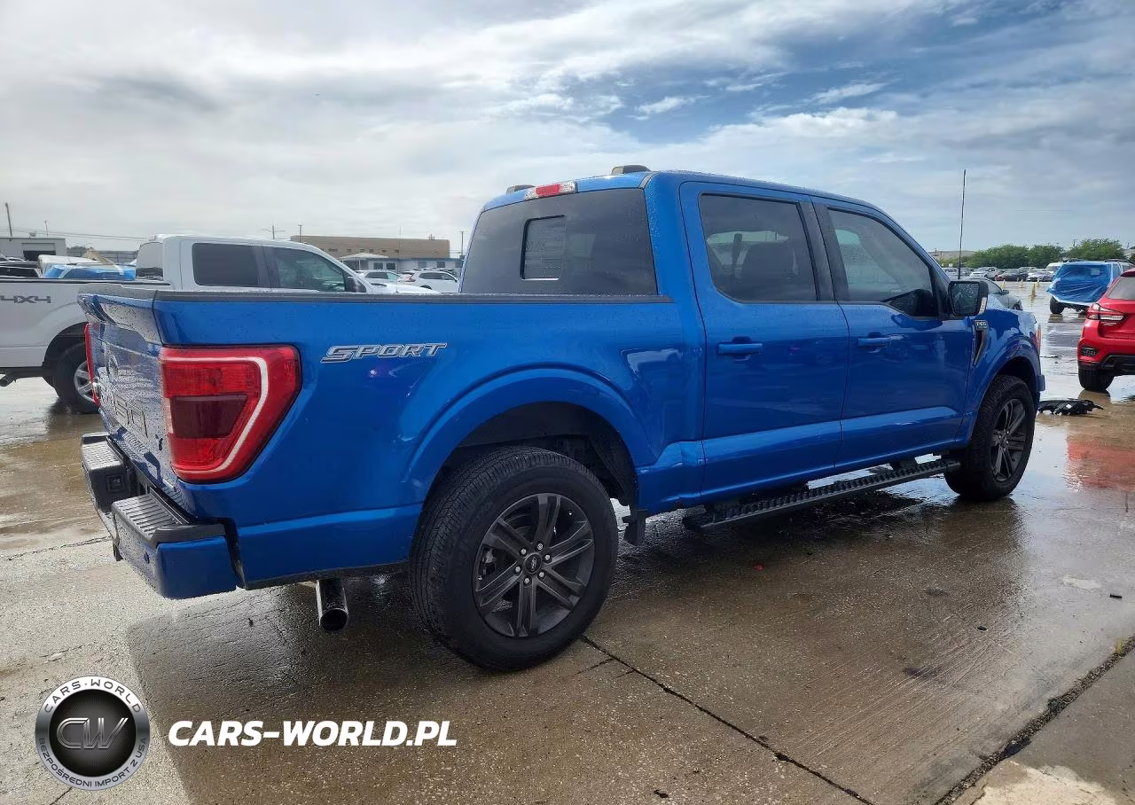 2021 Ford F150 Supercrew VIN:1FTEW1CP0MFD08906 - 3